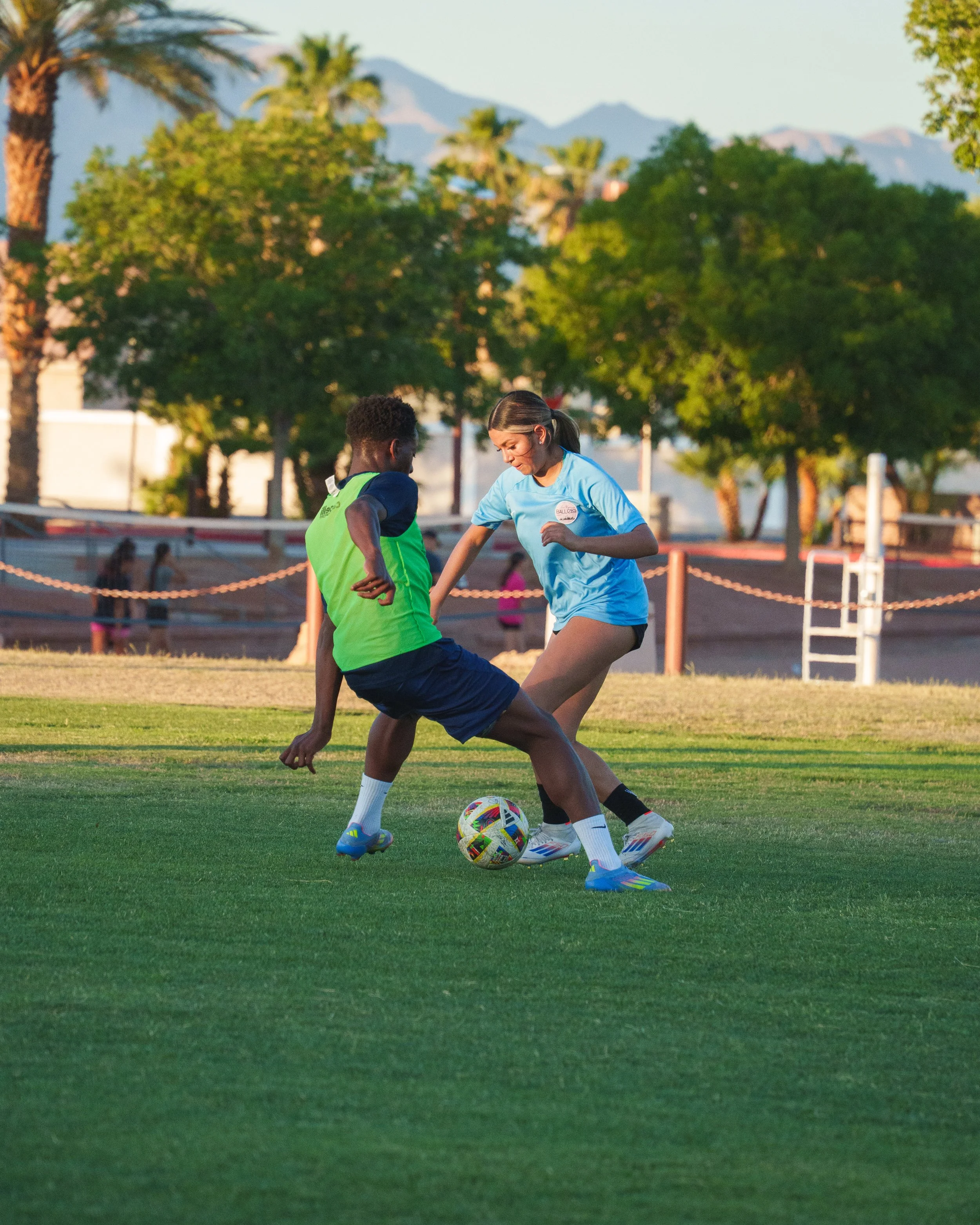 Photo Jun 12 2025, 7 25 20 PM.jpg