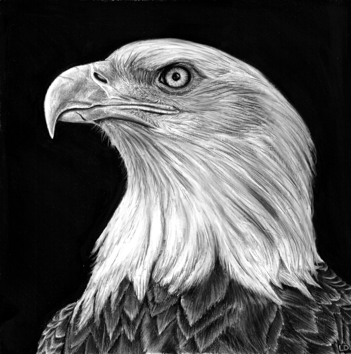 The Protector - Sold