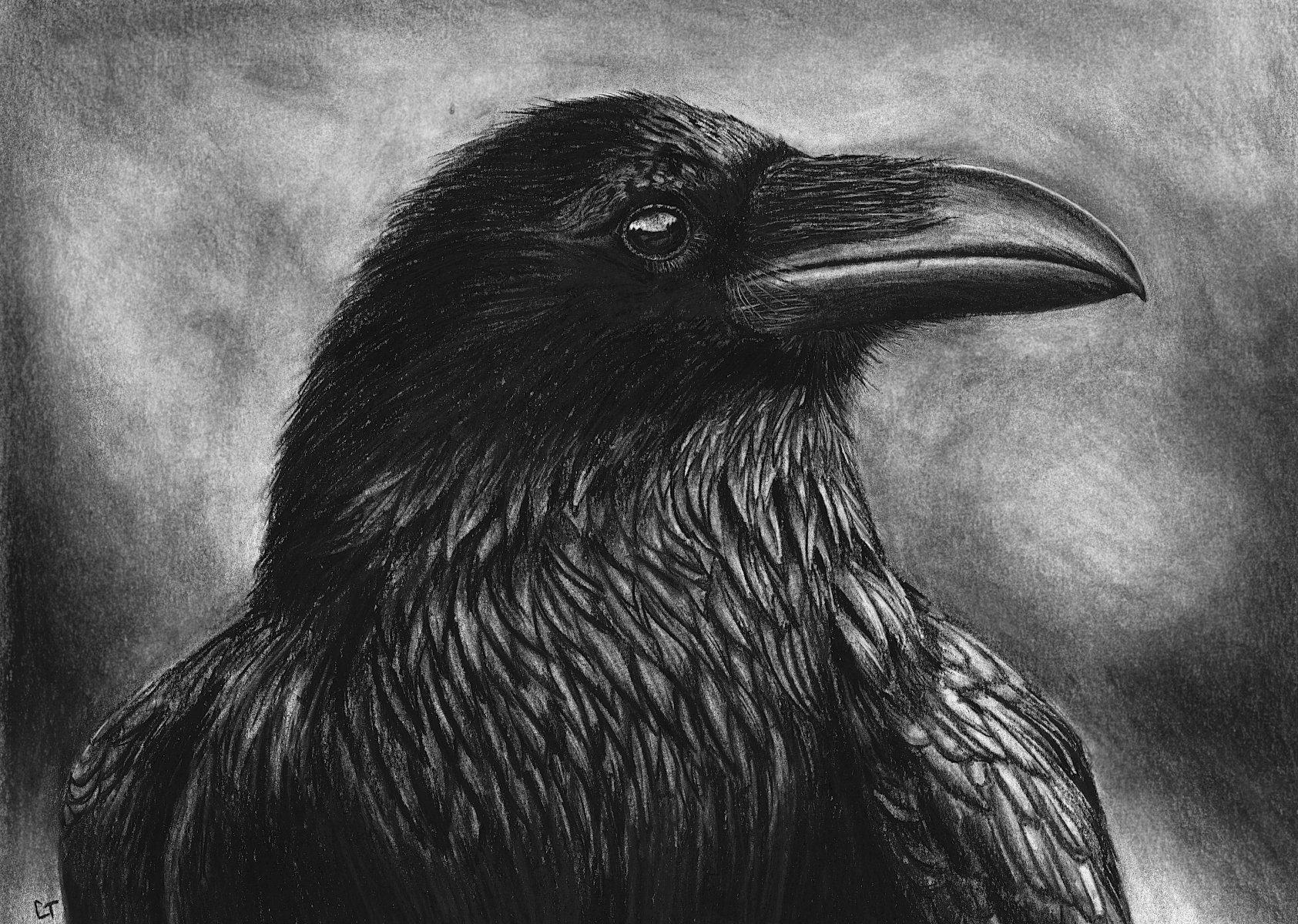 The Harbinger - Sold