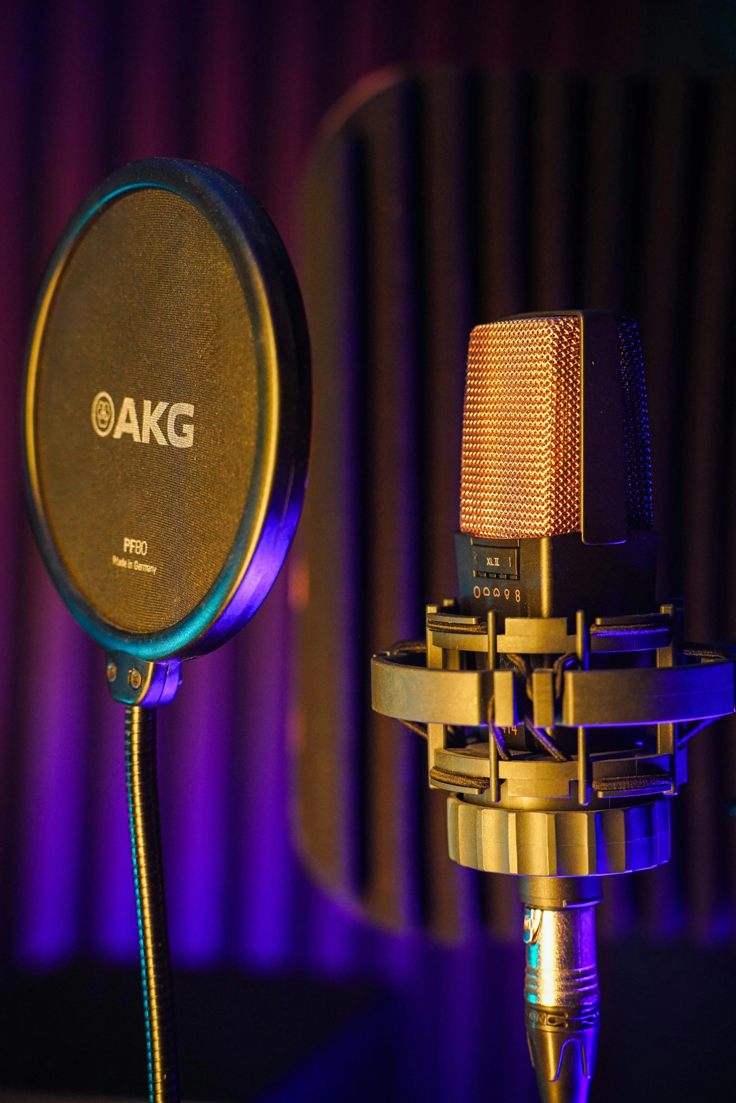 A professional recording microphone on a stand with a pop filter against soundproof studio panels.