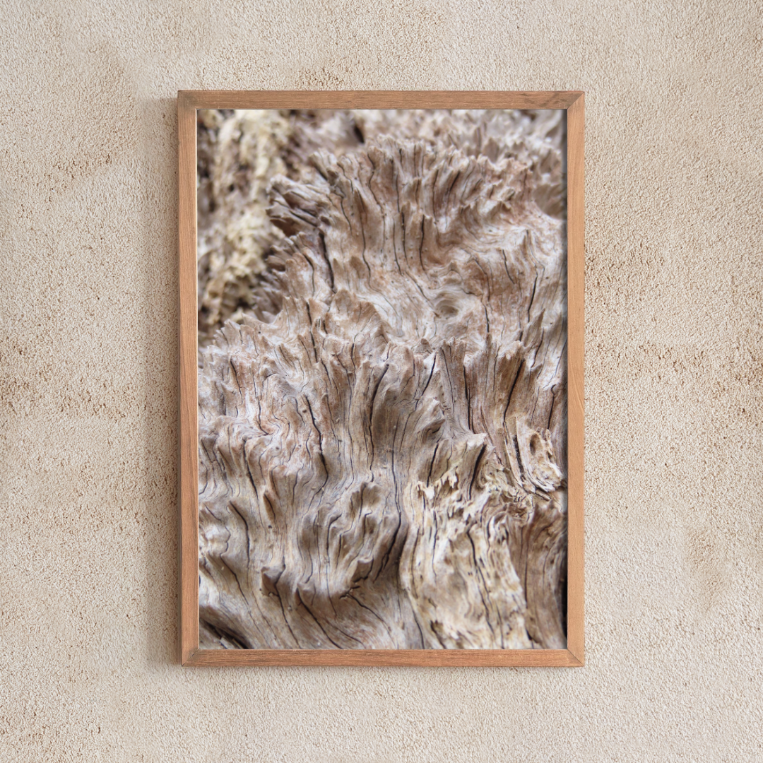 Belair Flora #3