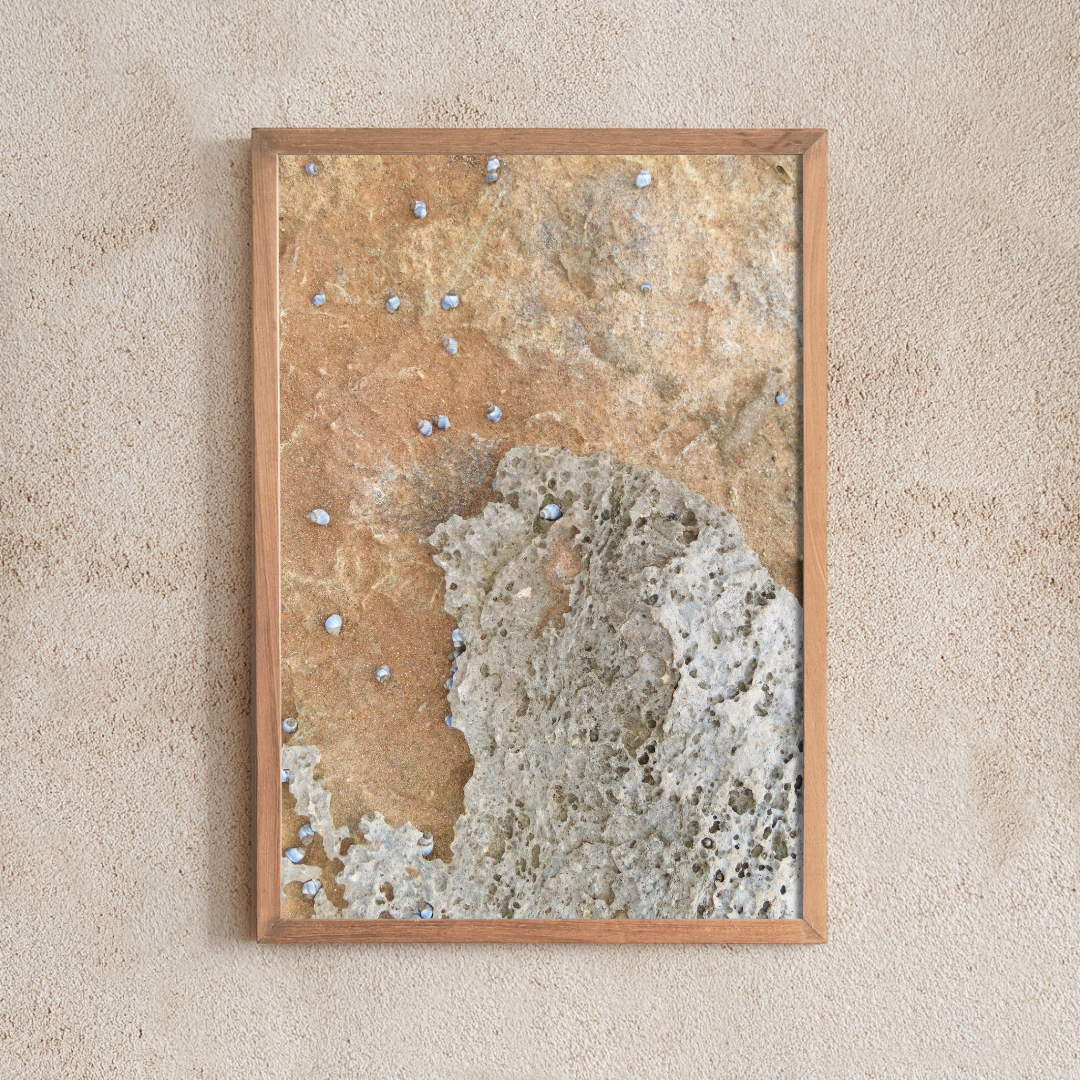 Beachport Formations #5