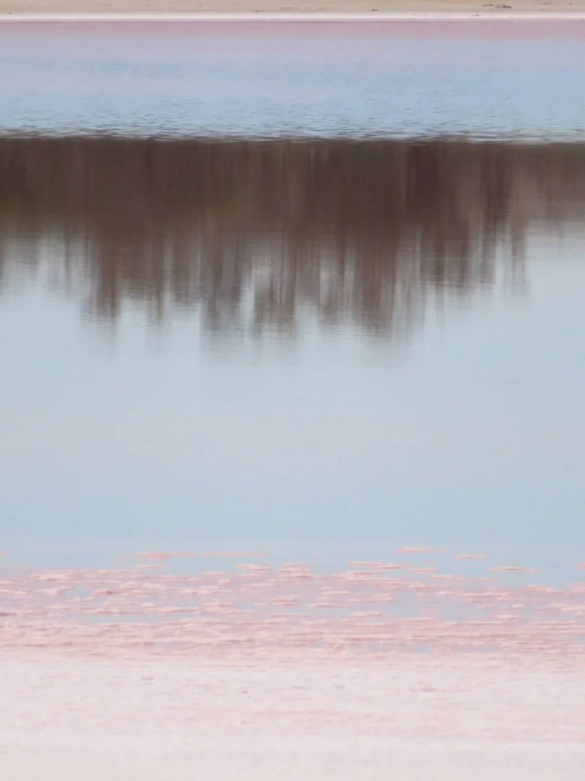 IMG_1347.png