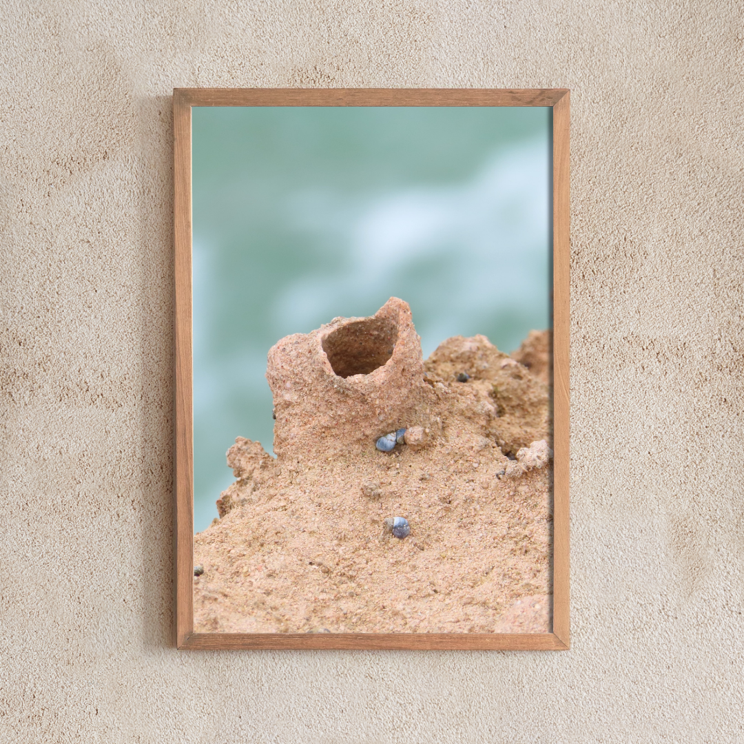 Beachport Formations #6