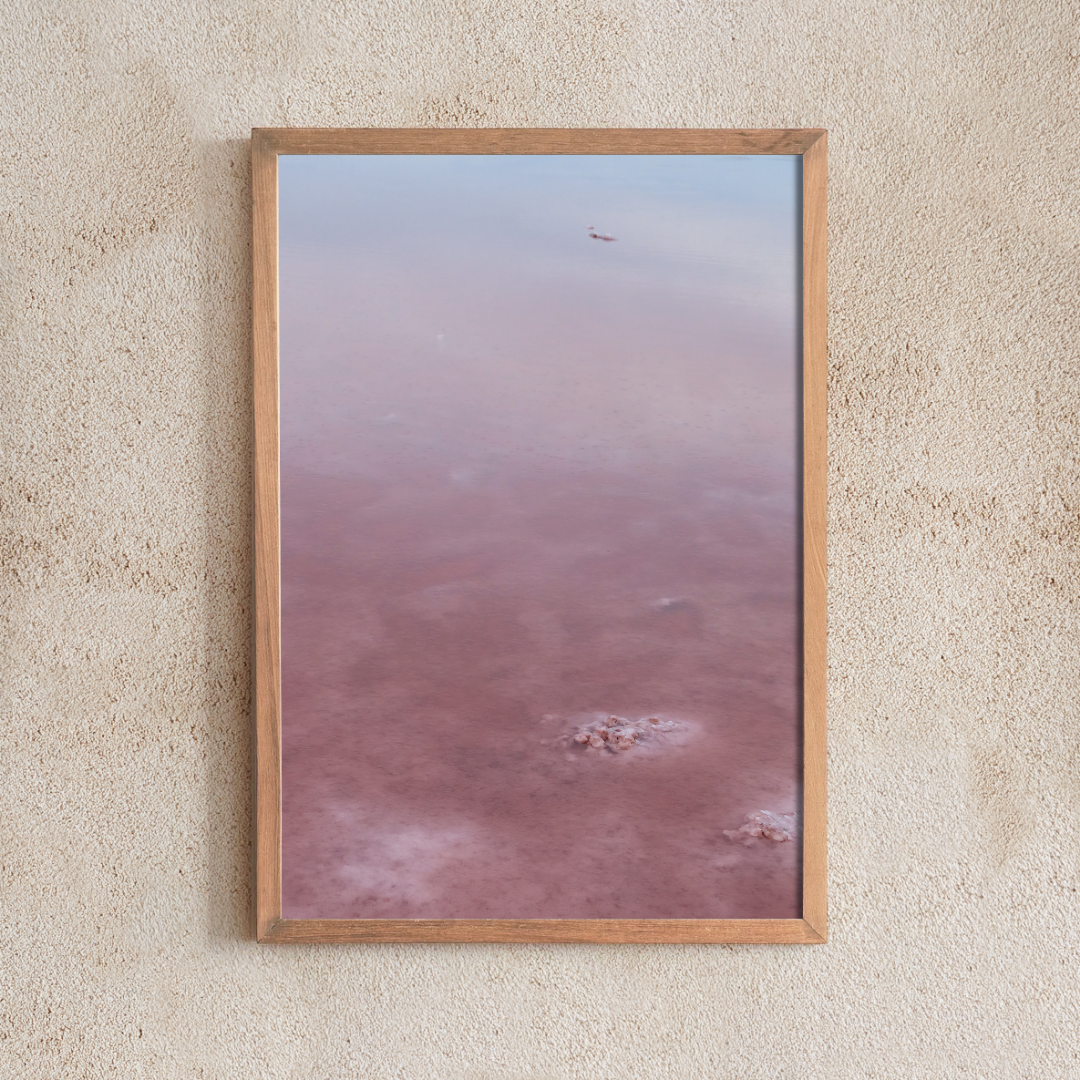 Pink Lake Reflections #3