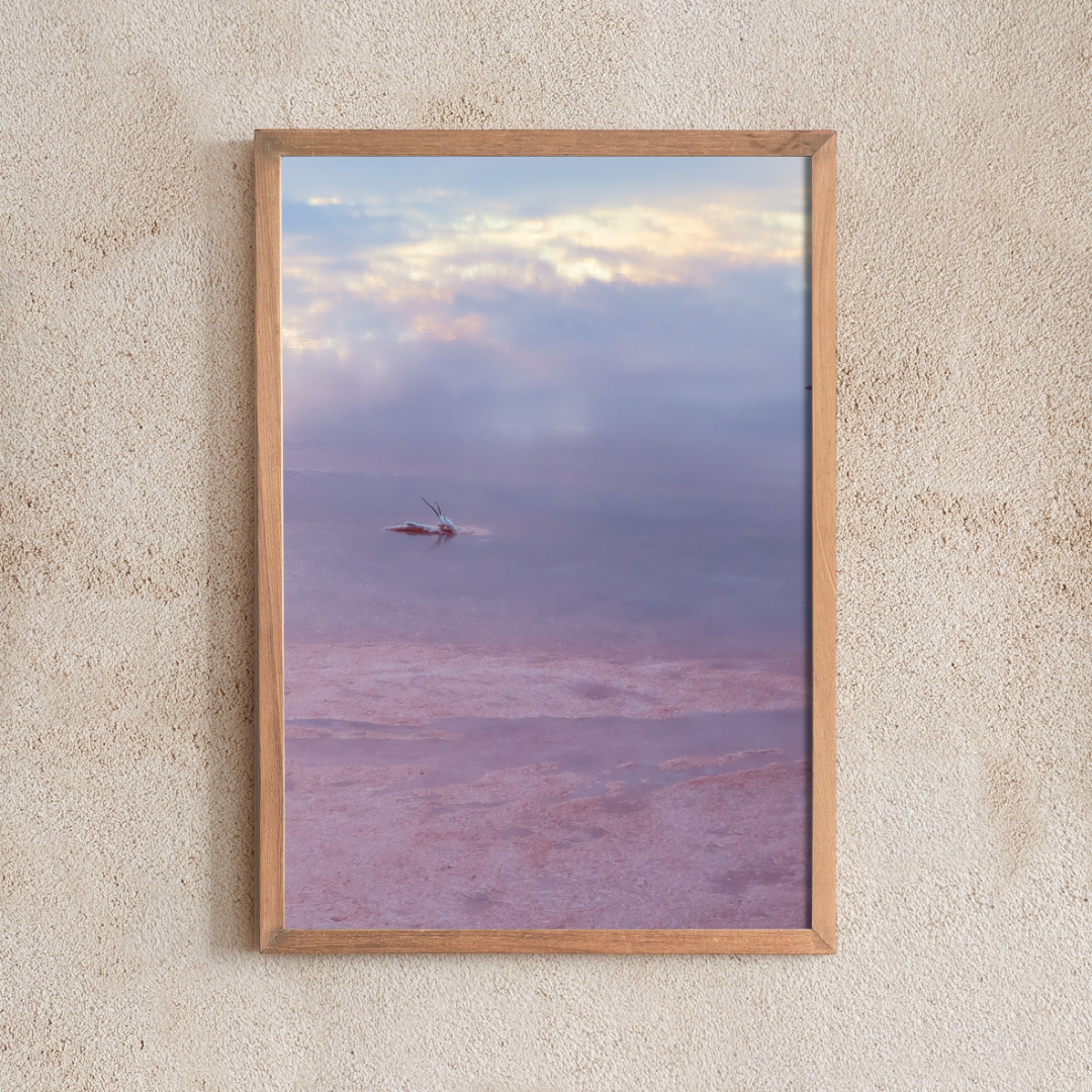 Pink Lake Reflections #1