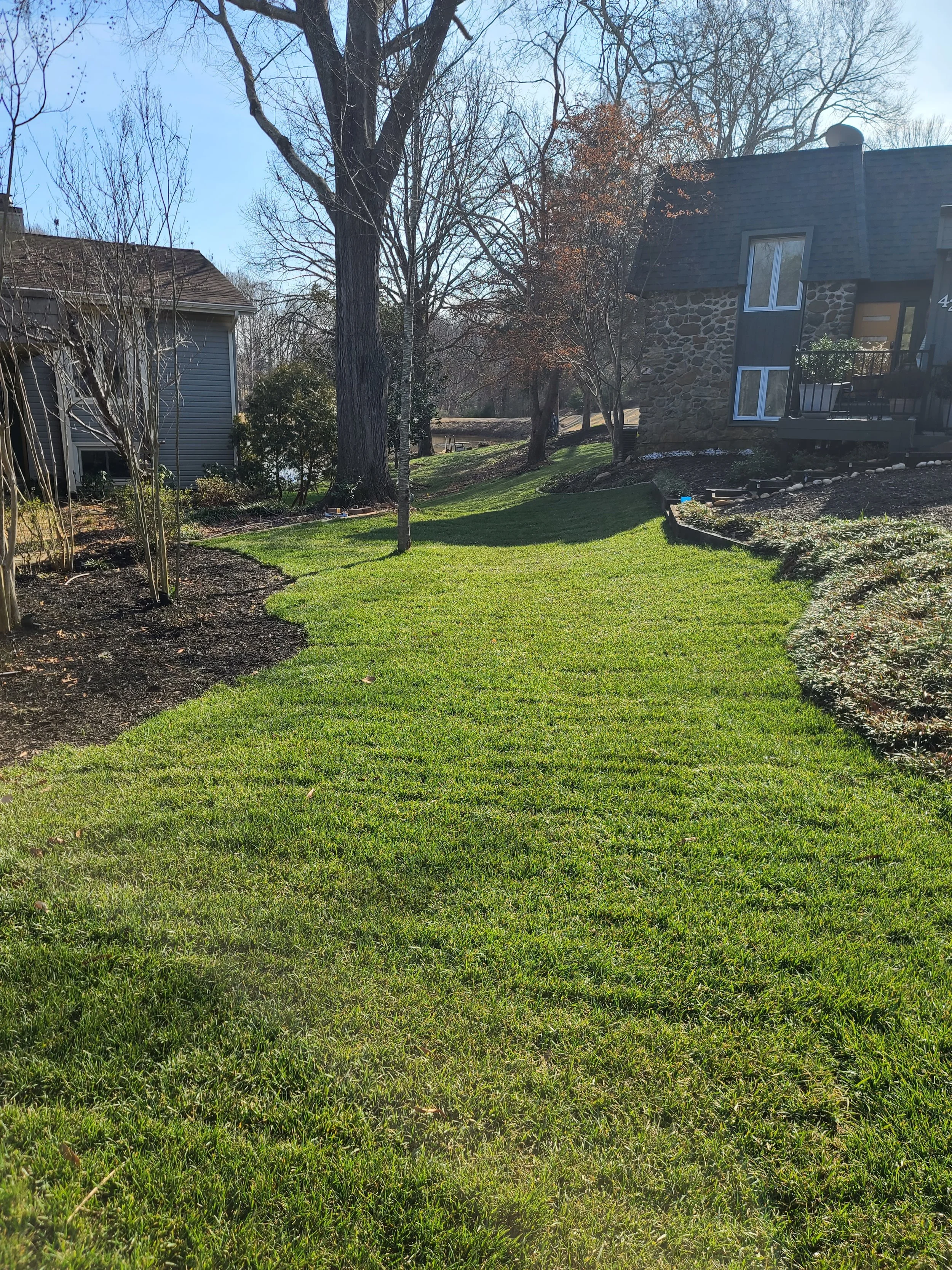 A landscaped suburban backyard with a well-manicured green lawn, surrounded by trees and shrubs, with a house featuring stone and siding exterior on the right side, and another house in the background on the left side, under clear blue skies.
