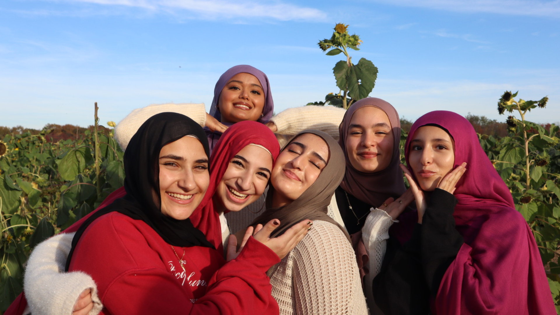 Group of seven young women wearing hijabs posing in a sunflower field under a blue sky.