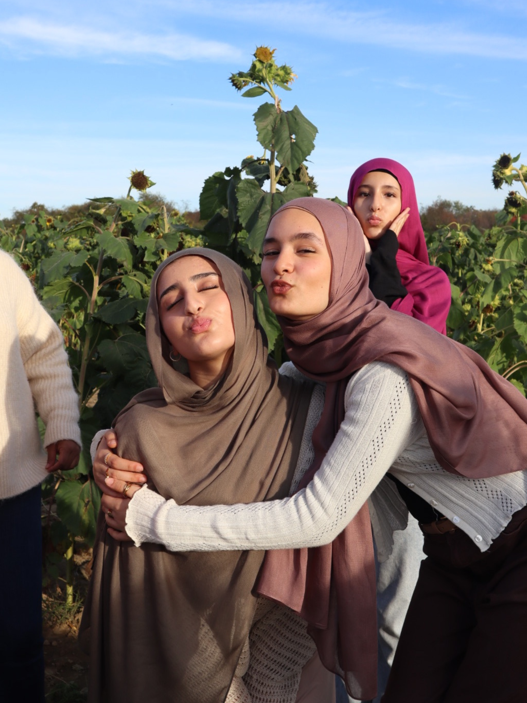 Three young women wearing hijabs making playful kissy faces and hugging in a sunflower field on a sunny day.