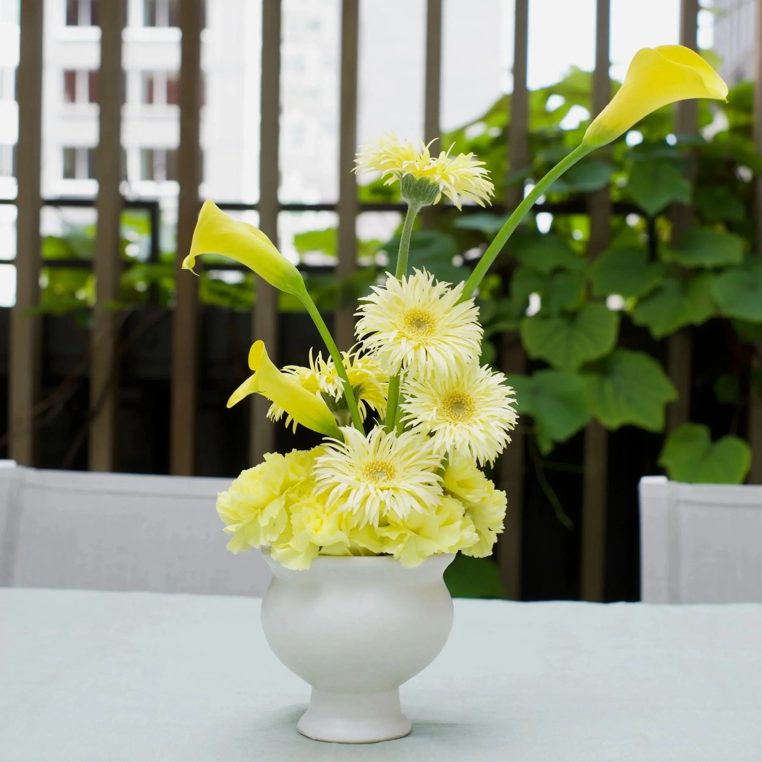 DSCF1719.jpg