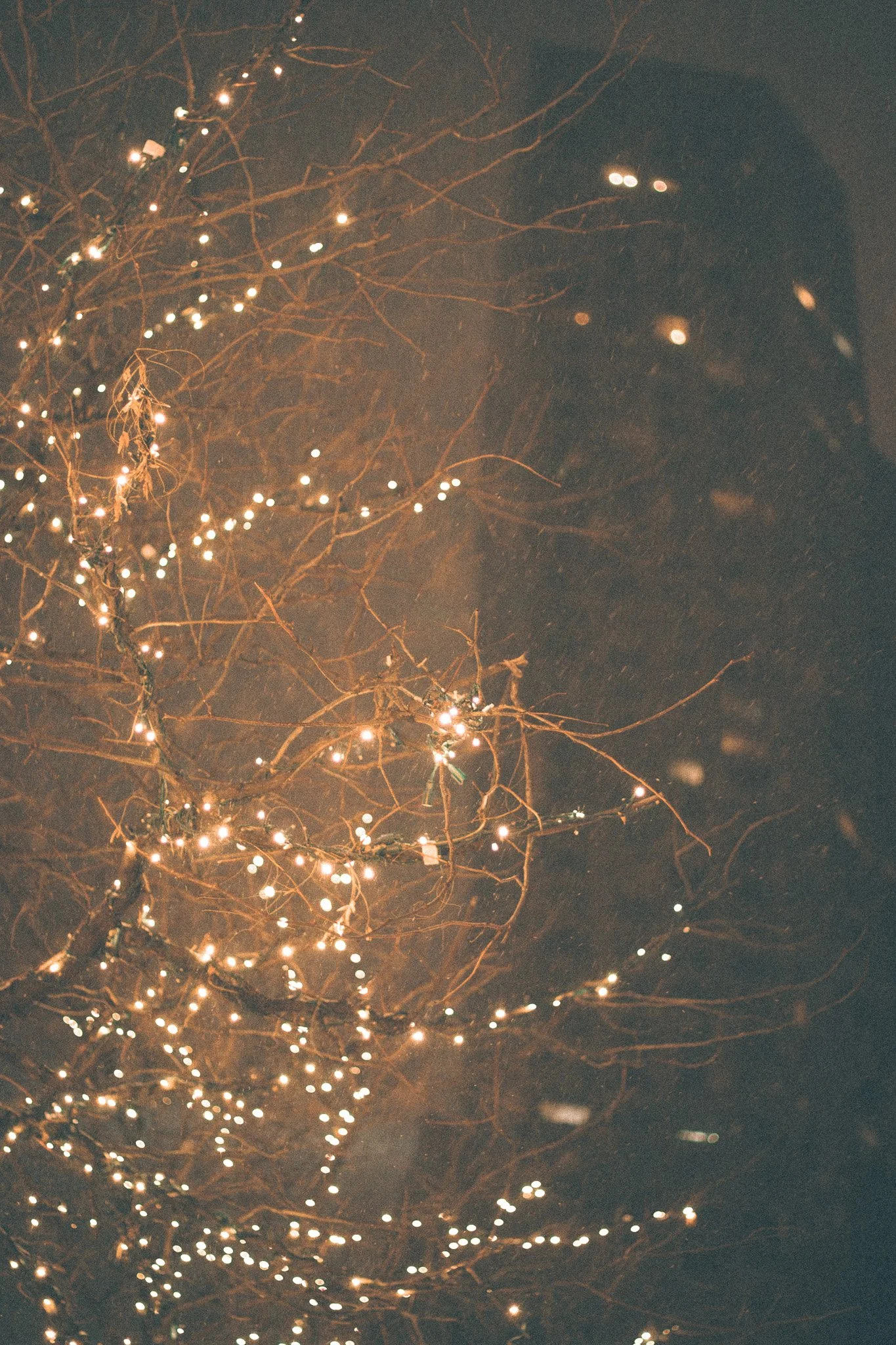 Bare tree branches decorated with small, glowing string lights against a dark background with falling snow.