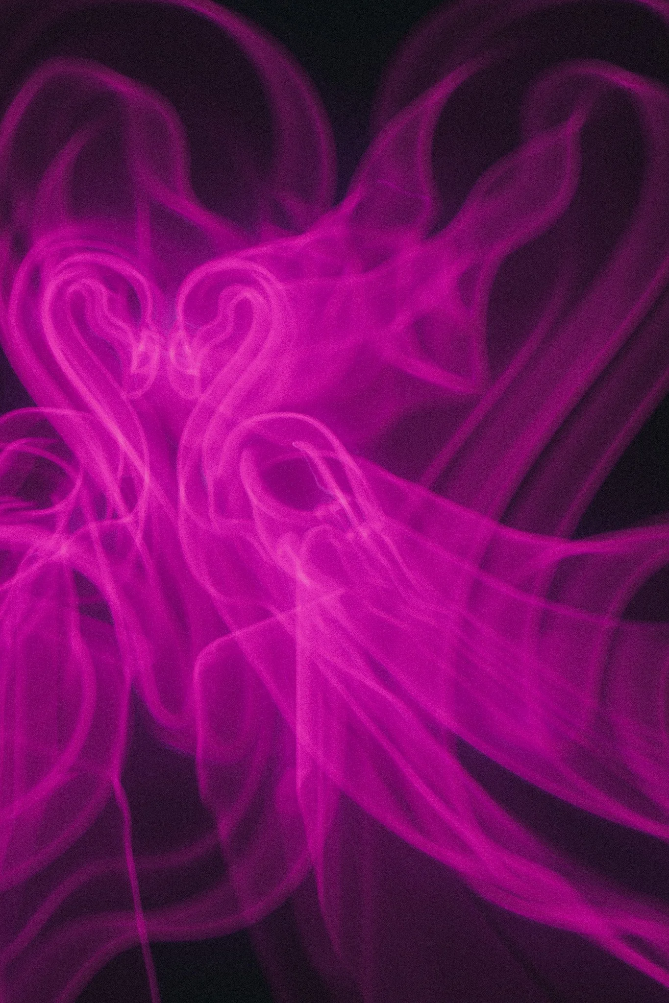Pink smoke or ink swirling against a dark background.