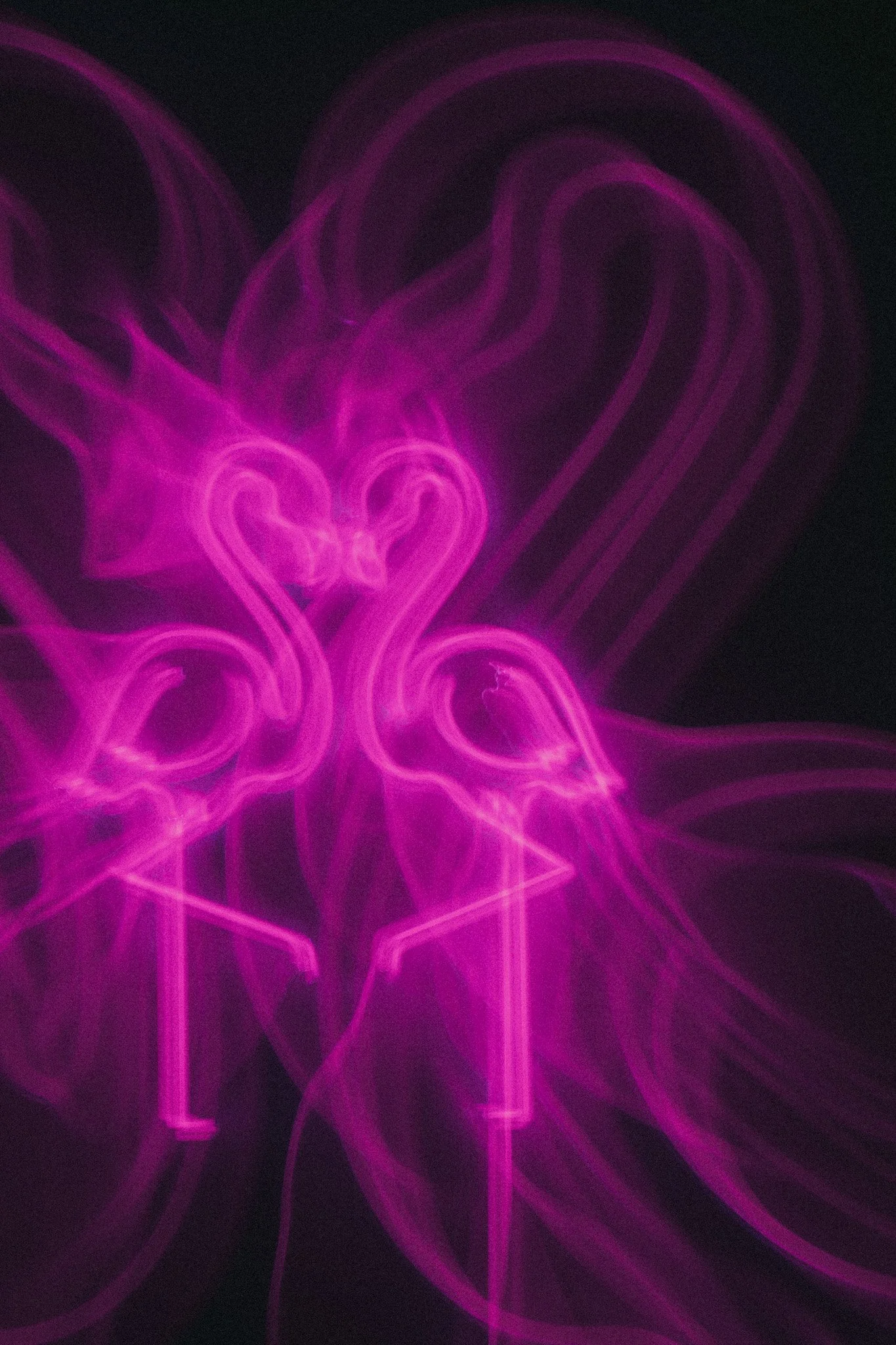 Neon pink flamingo with heart-shaped head and flamingo silhouette, against a black background.