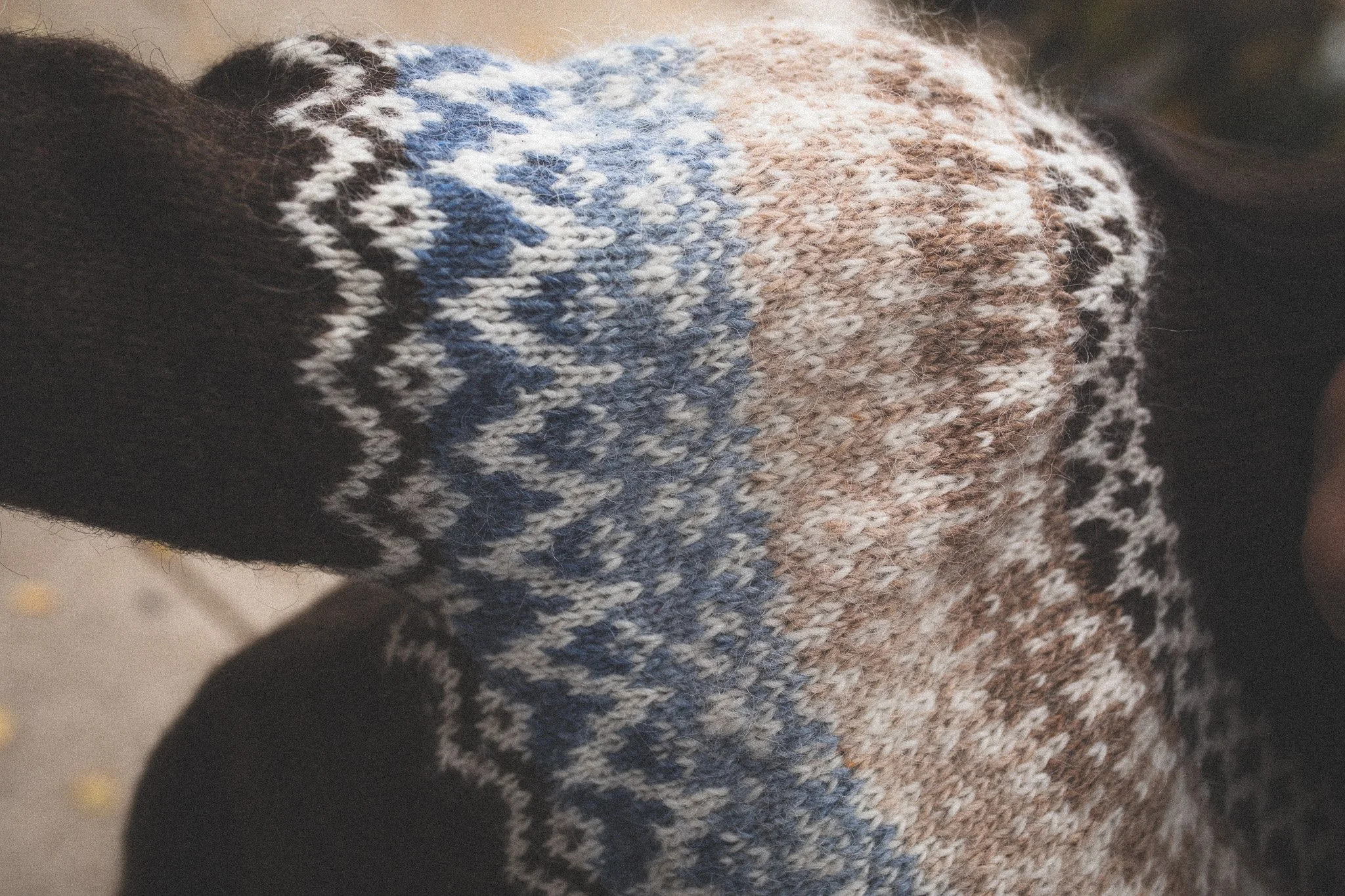 Close-up of a person's arm wearing a patterned knitted sweater with brown, blue, white, and black colors.
