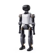 Booster K1 Humanoid Rental Per Day