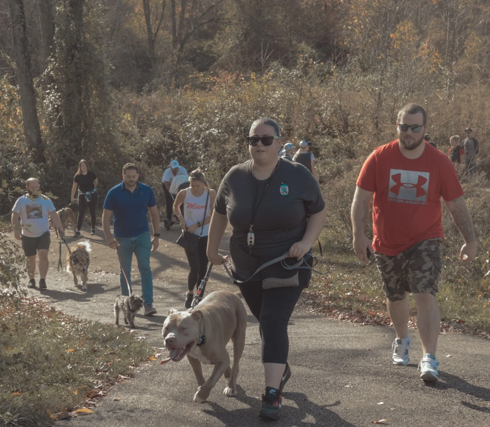 JK9U Dog Training community pack walkl on a wooded trail in New Jersey, promoting calm social behavior and leash manners.