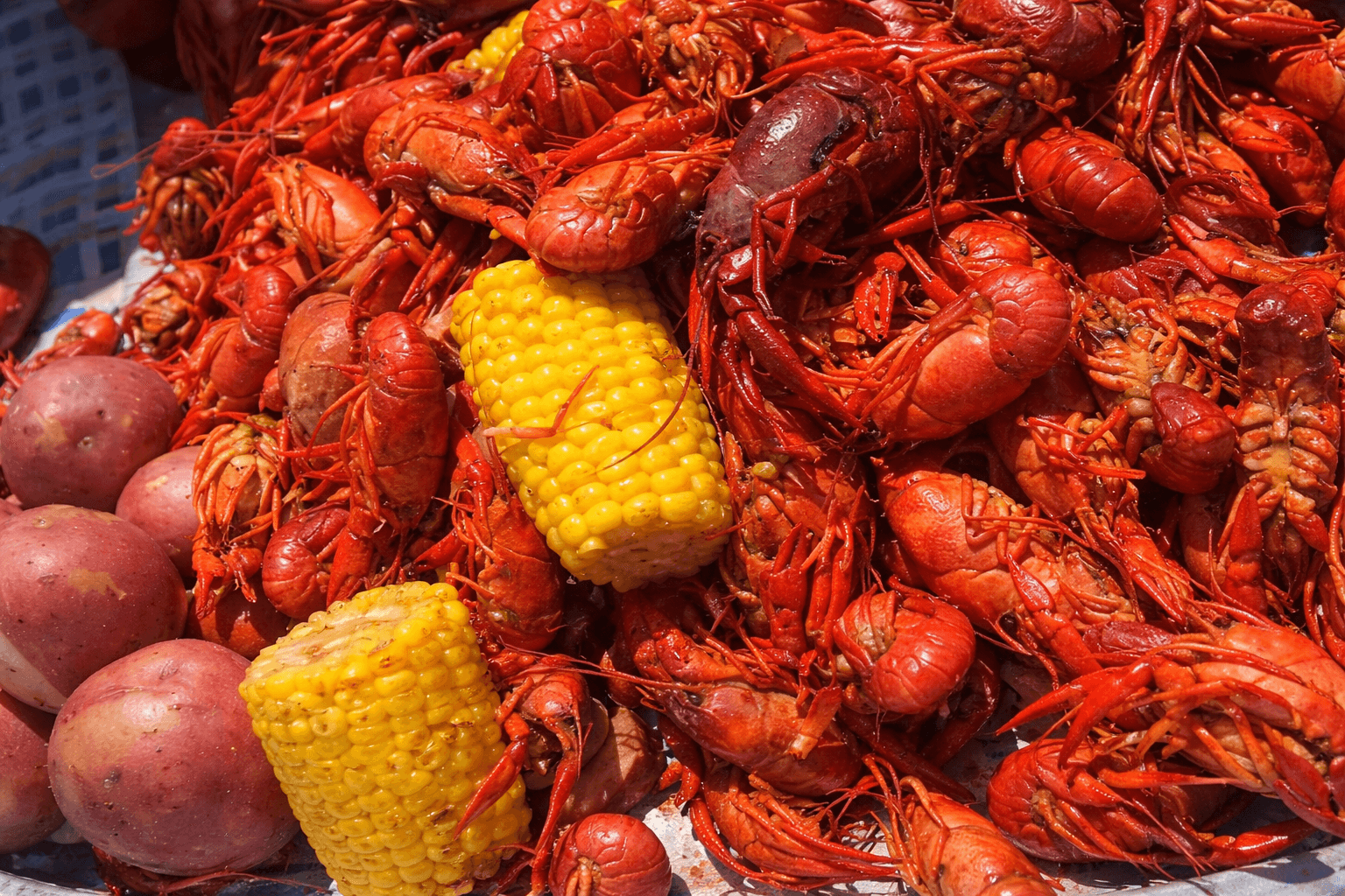 little-dooey-cajun-crawfish-boil-starkville-ms.jpg .png