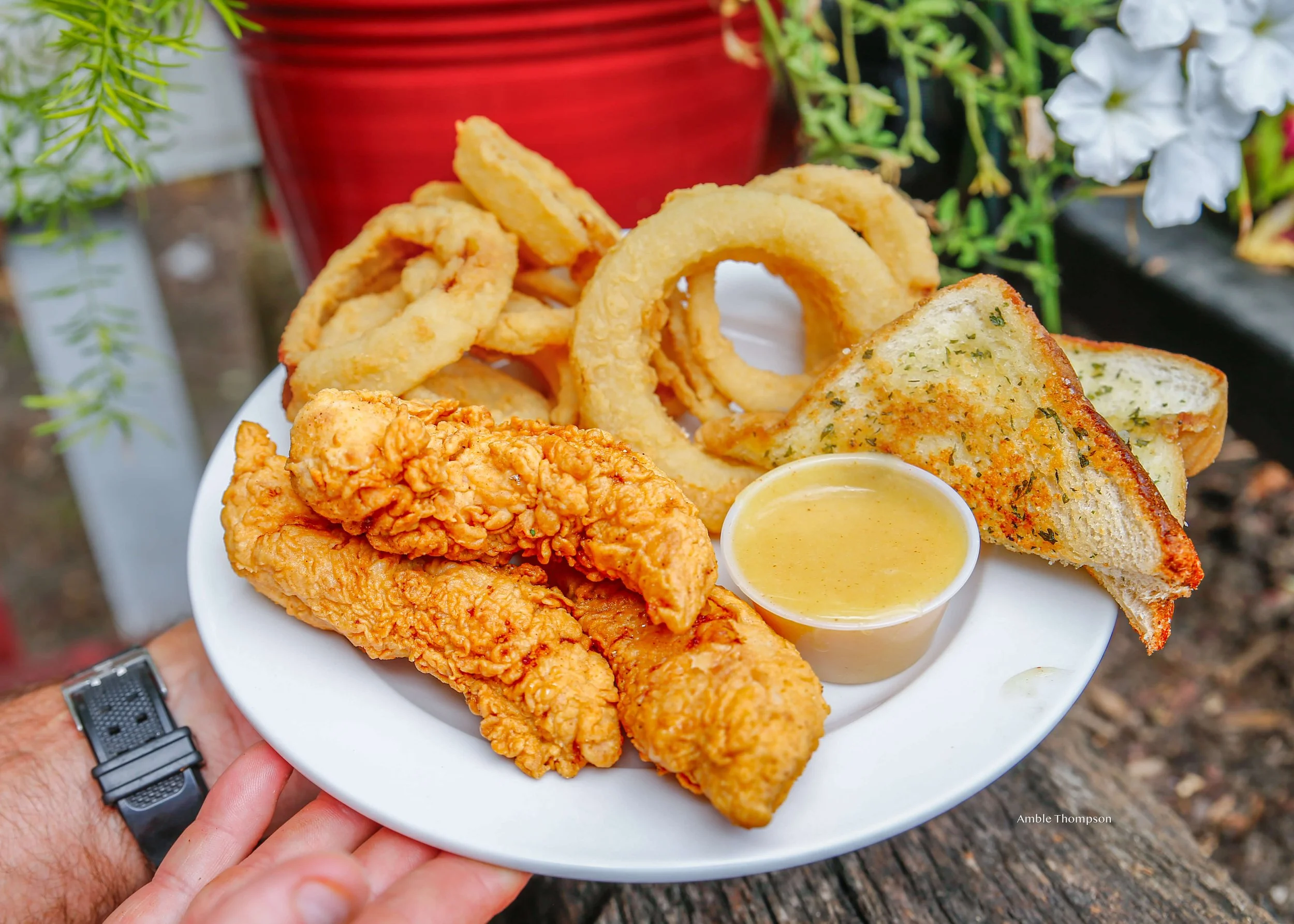 fried-chicken-tenders-onion-rings-starkville-ms-the-little-dooey.jpg