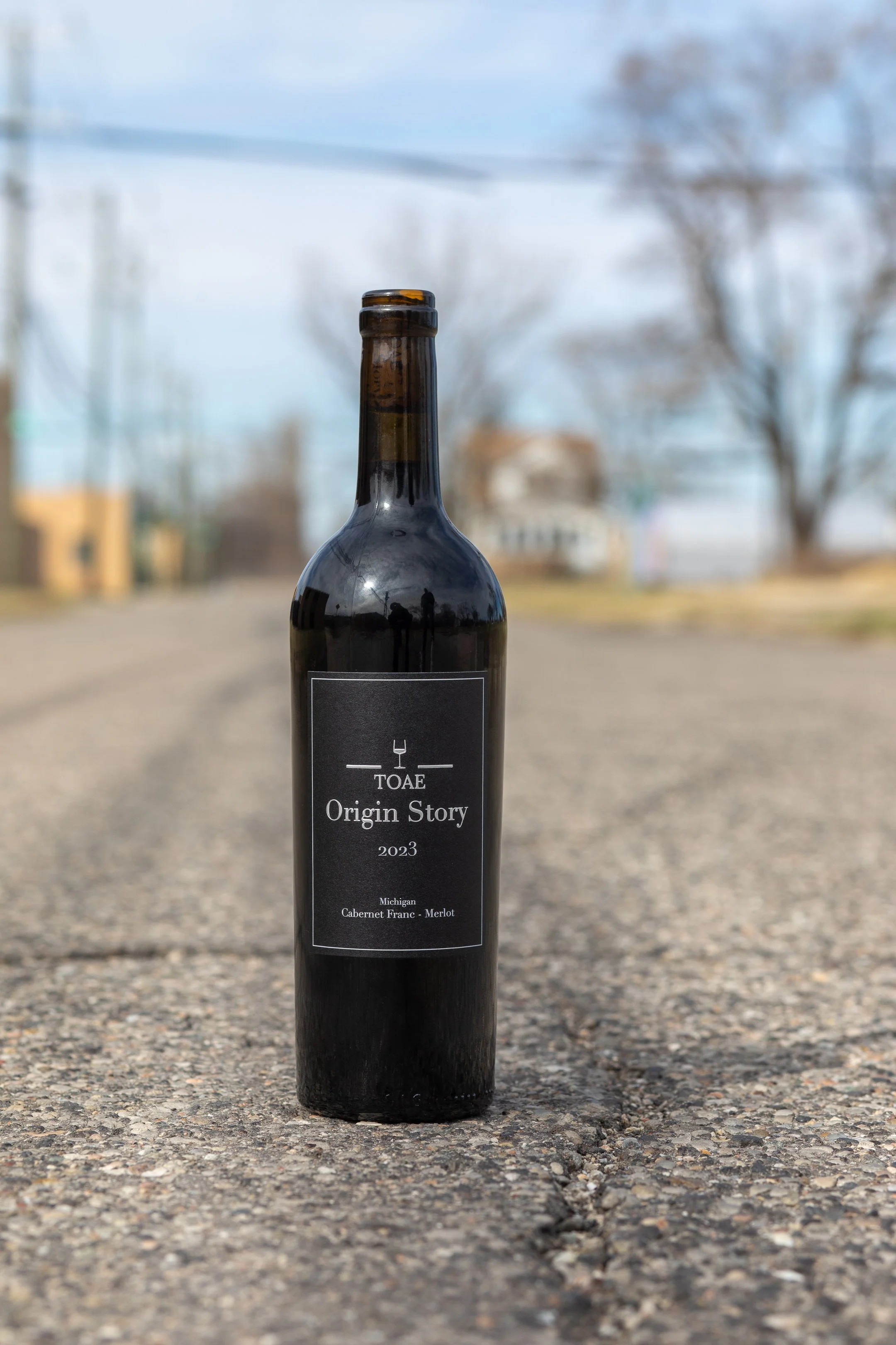 TOAE Shoot 214-51.jpg