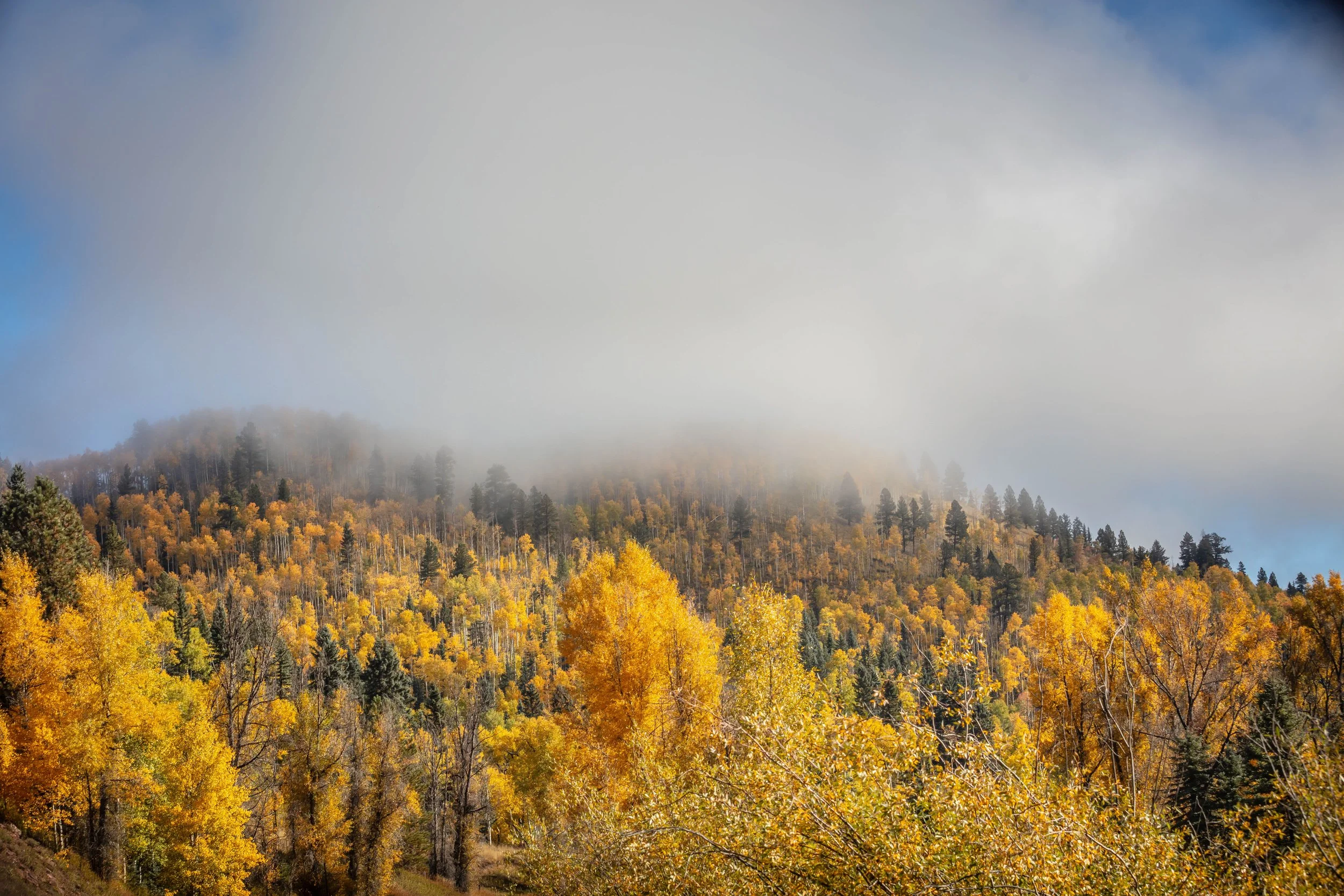 Rocky Mountain Scenery Colorado
