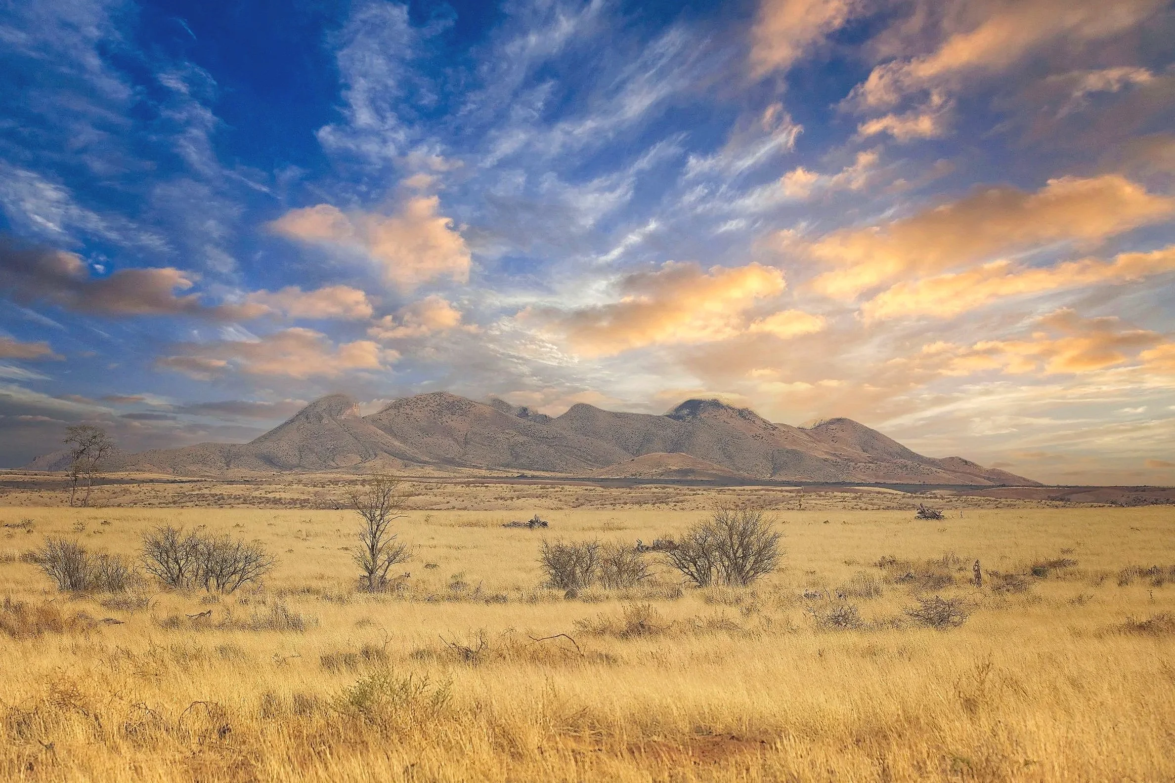 Sonoran Desert Southern AZ Sunrise