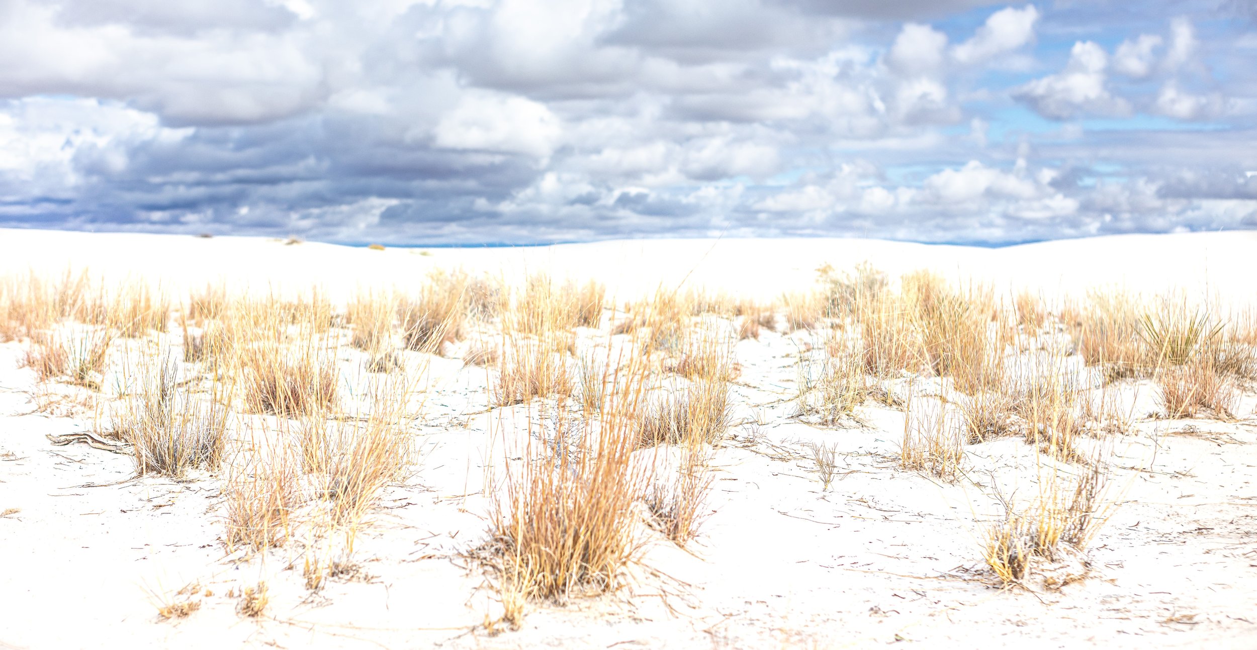 White Sands New Mexico