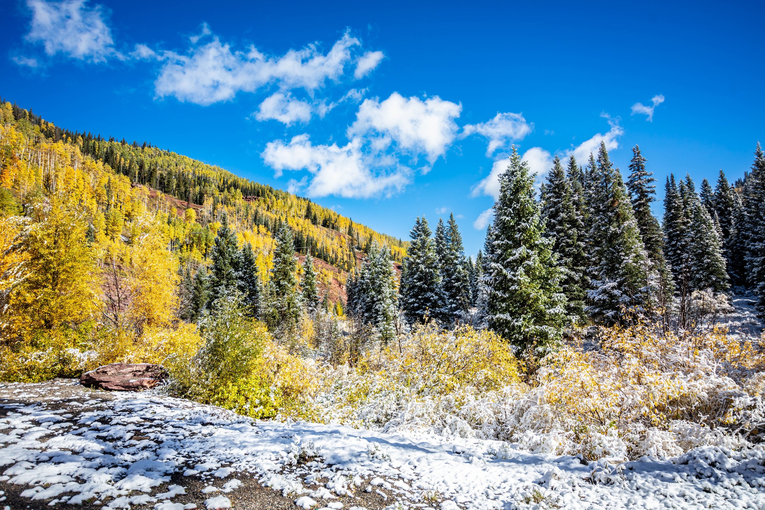 Rocky Mountain Scenery Colorado