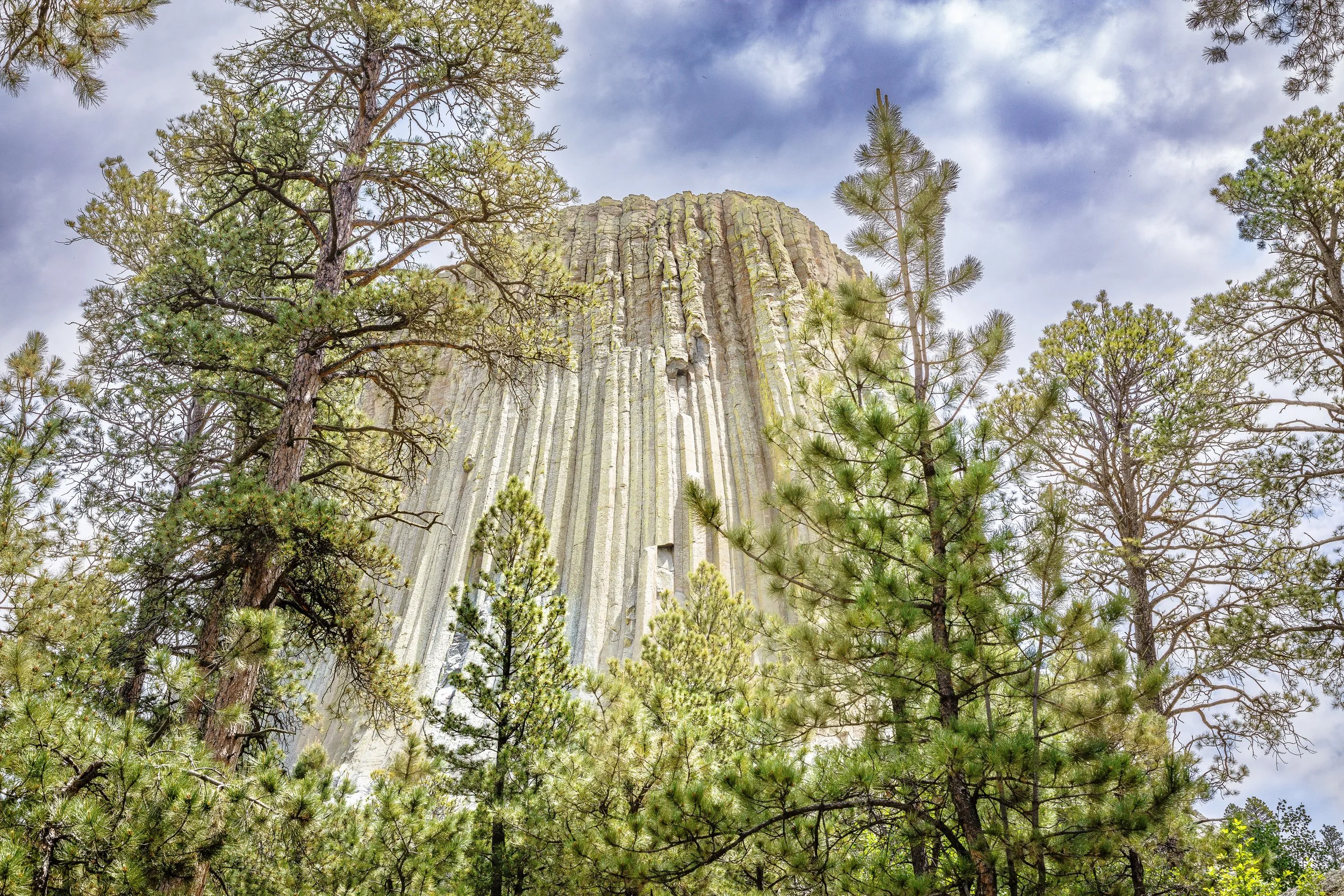 Devil's Tower Wyoming