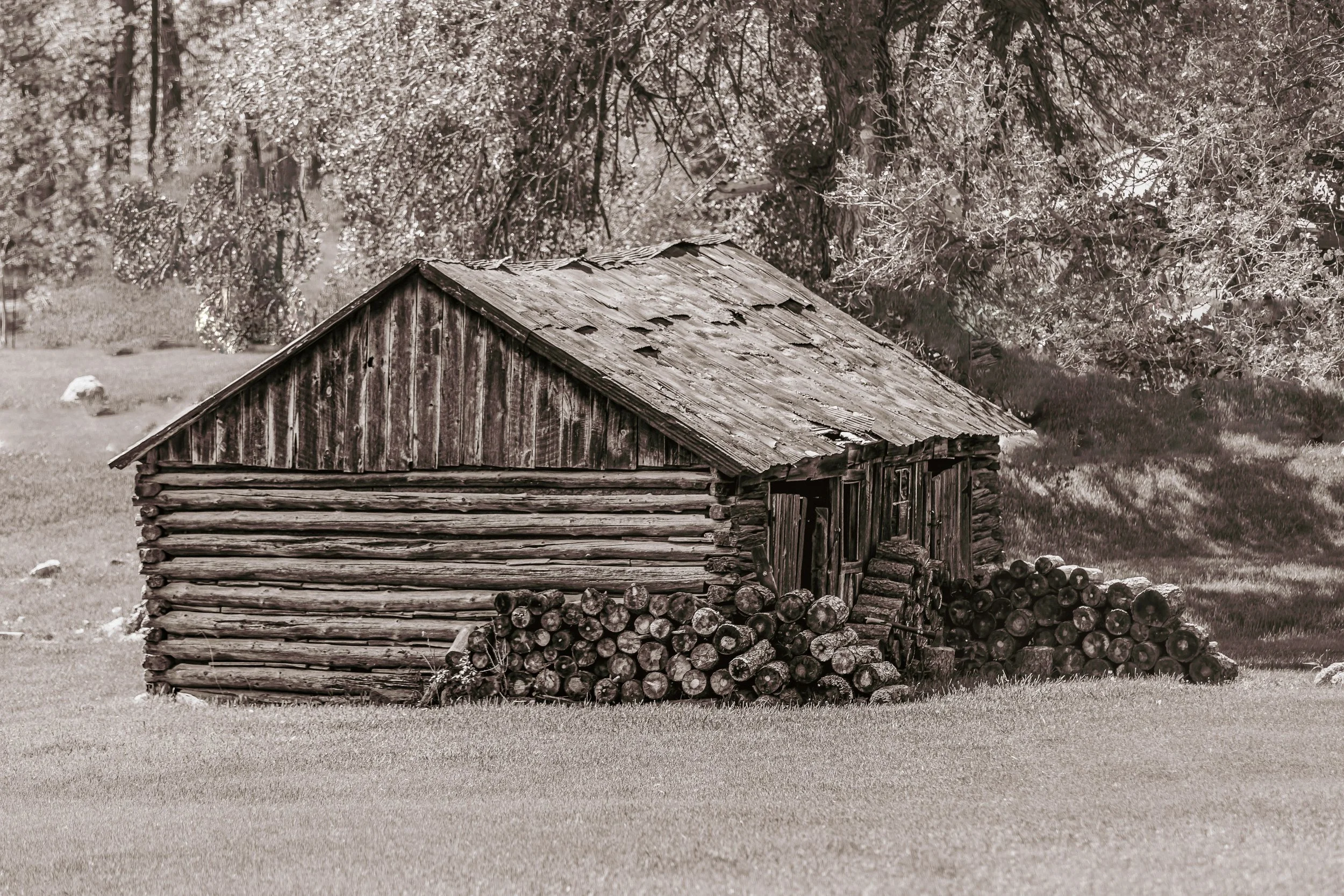 Wyoming Mountain Cabin