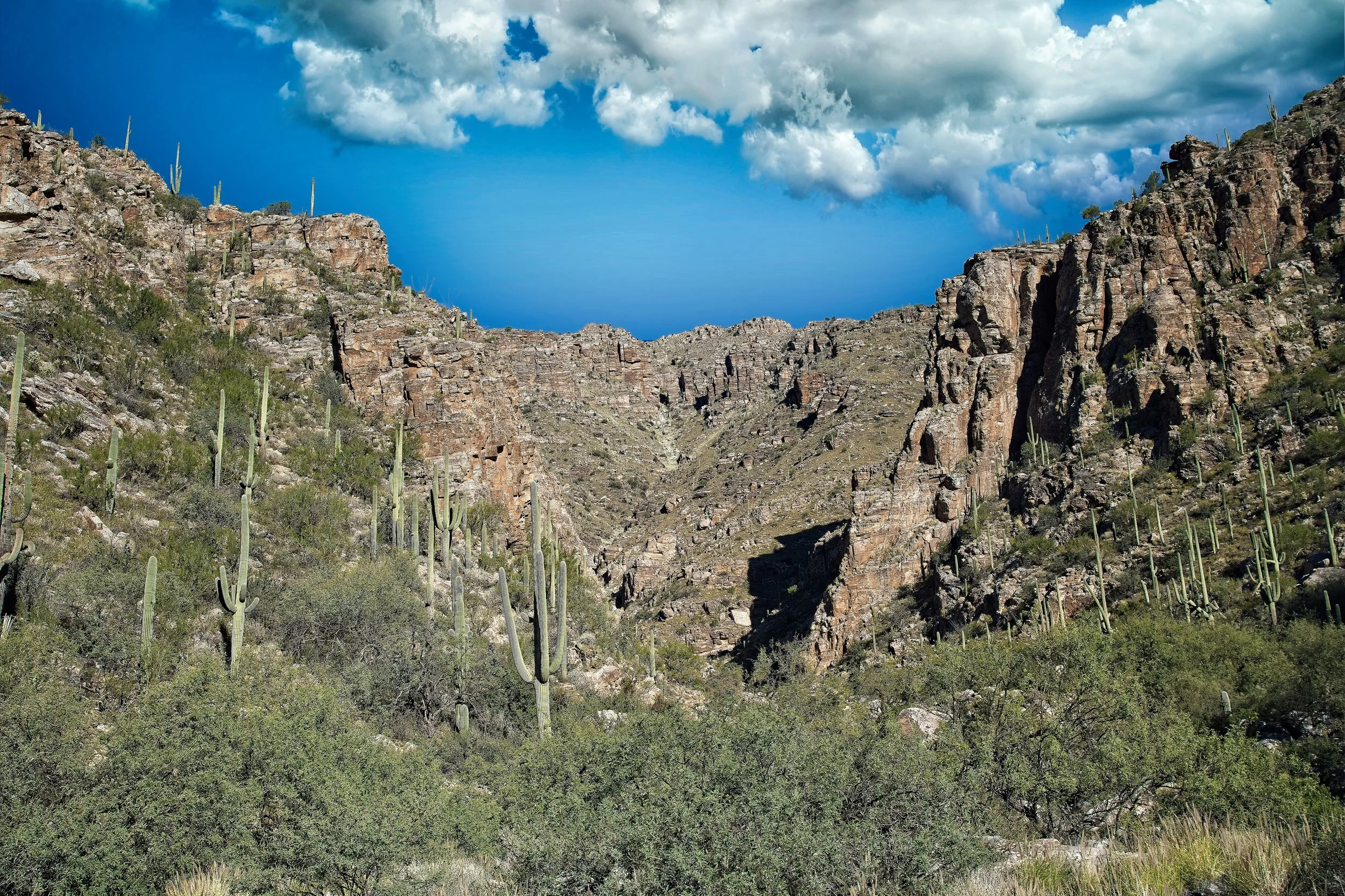 Santa Catalina Mountains Tucson AZ
