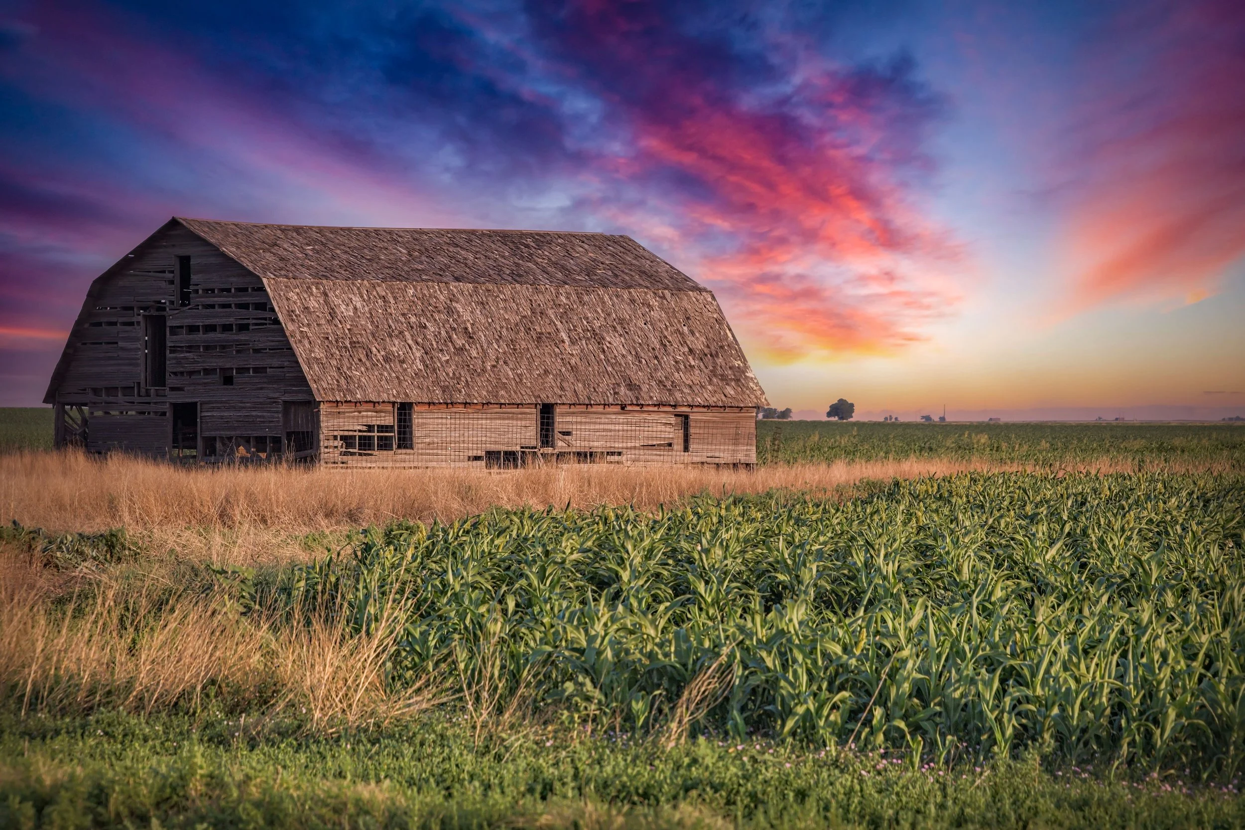 Old Barn Eastern Colorado at Sunrise