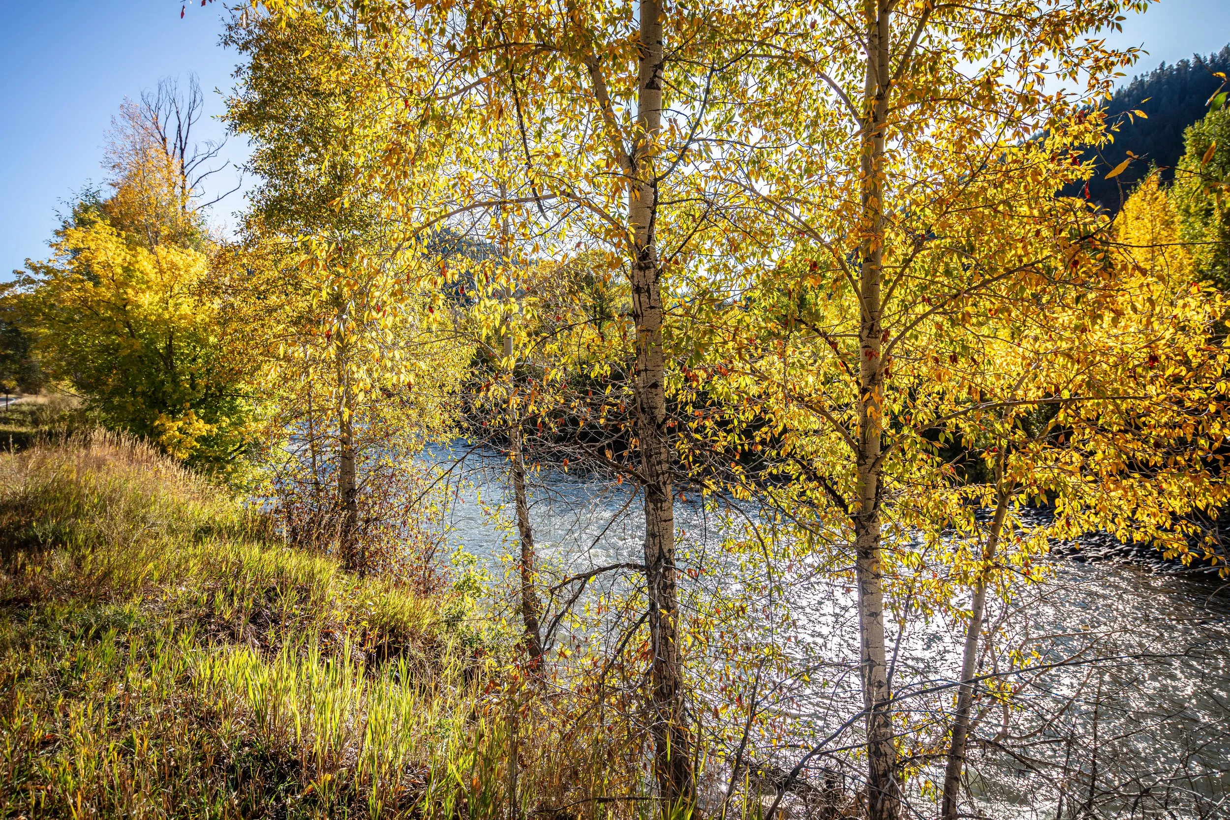 Black Canyon of the Gunnison River CO