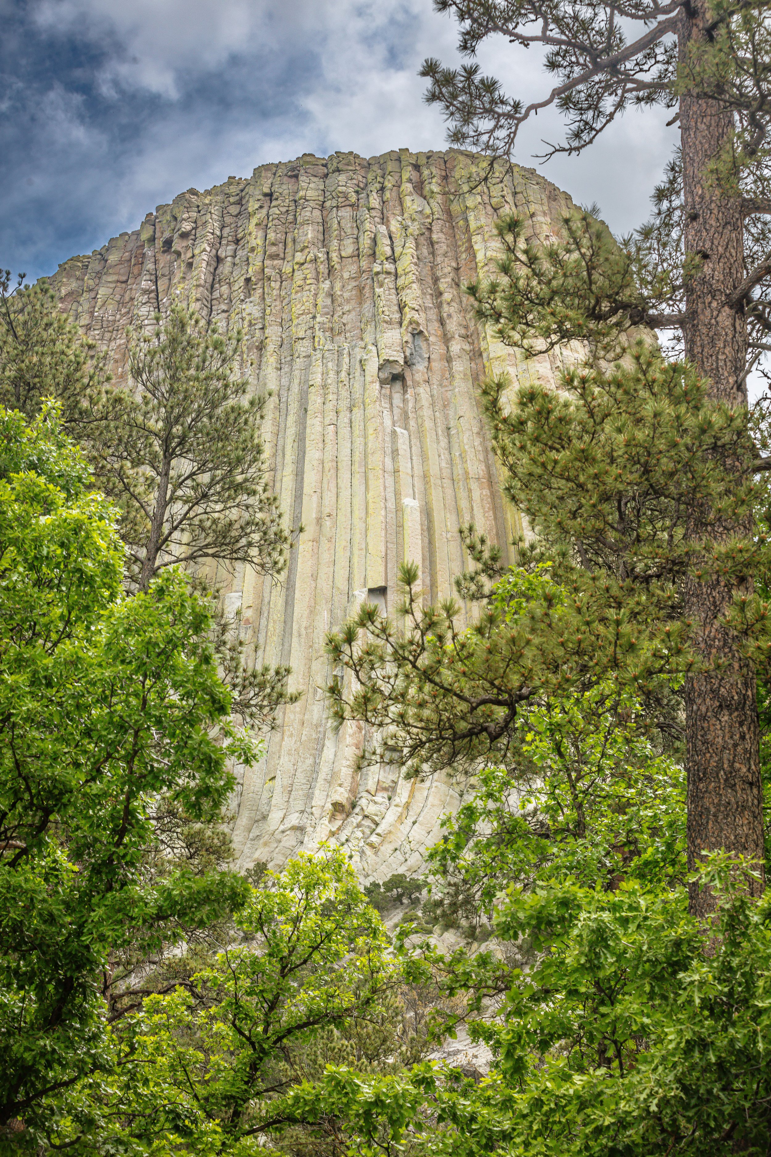 Devil's Tower Wyoming