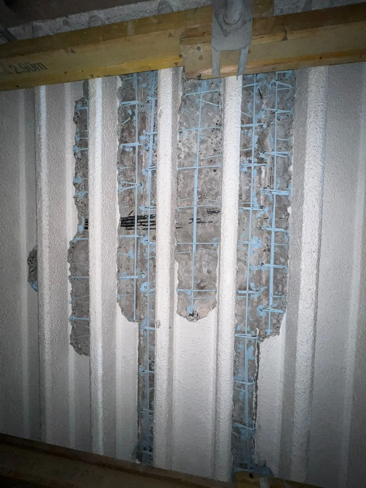 103 AQS_4261b01f-a97f-4844-a8bb-2b360edfb786_Freyssinnet_AM.jpg