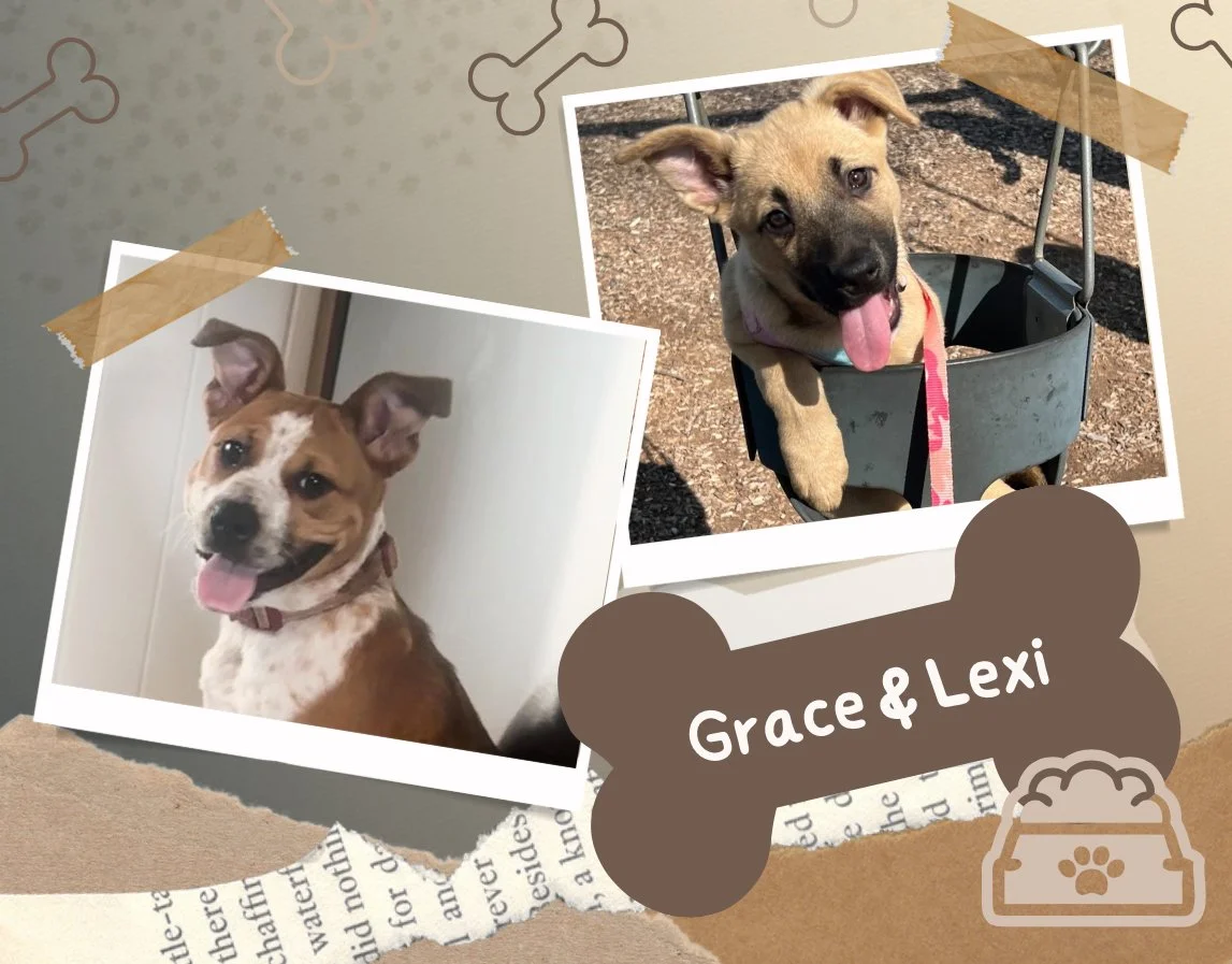 Photo of Gracie & Lexi