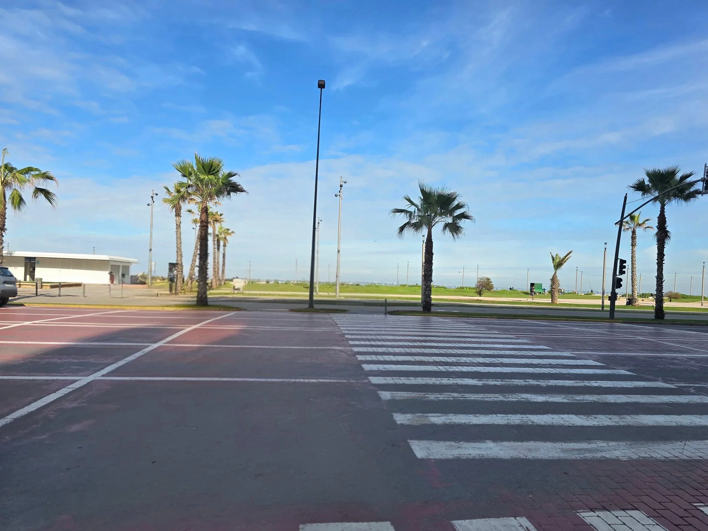 Empty crosswalk at a sunny street with palm trees, a traffic light, and a clear blue sky.
