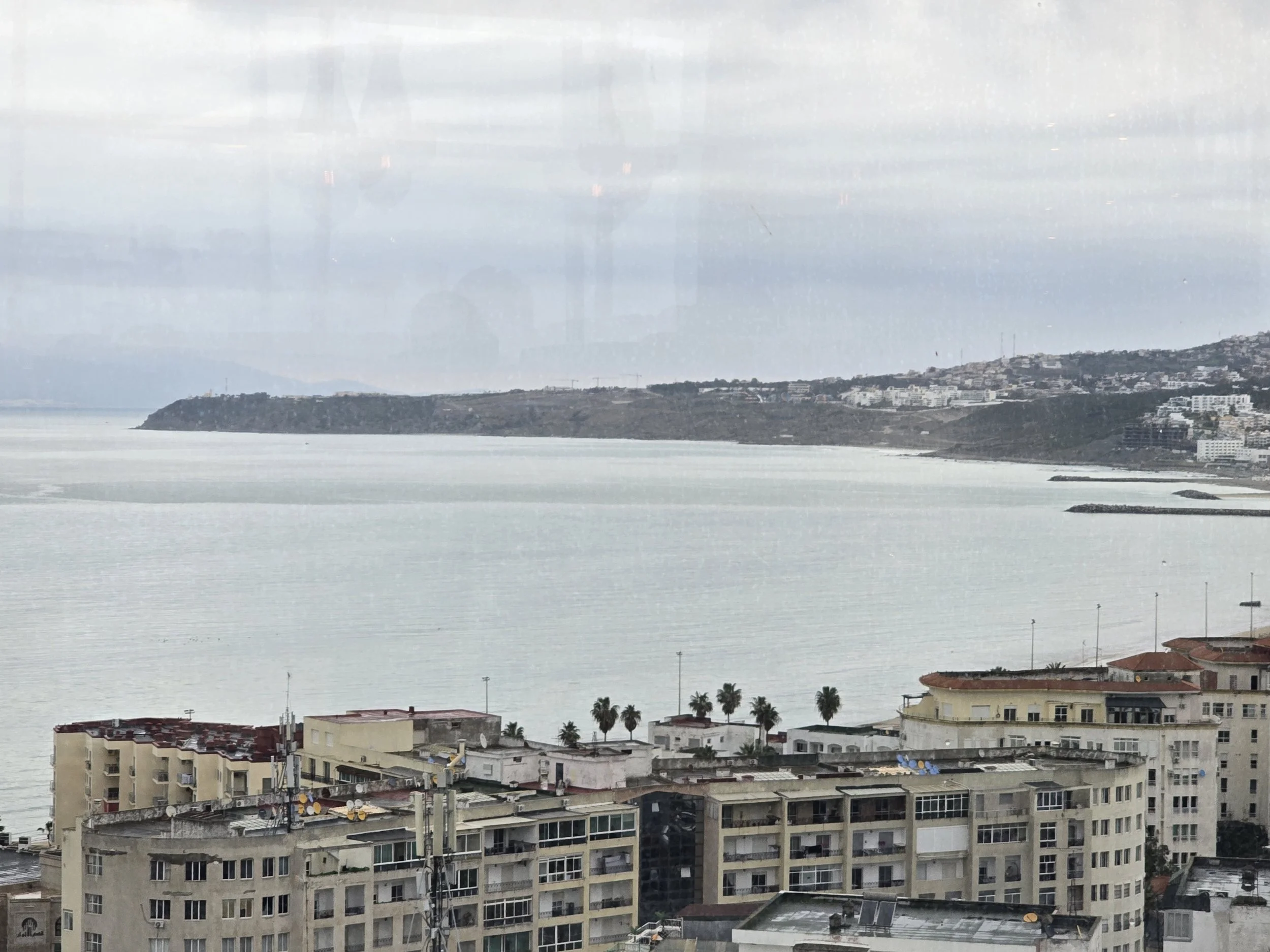 View of a city with multi-story apartment buildings in the foreground, palm trees, and a large body of water with hilly terrain and buildings in the background, under cloudy skies.