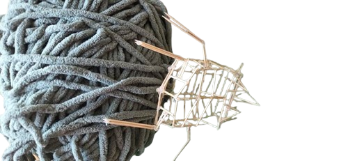 Top view of Dung Beetle pushing yarn