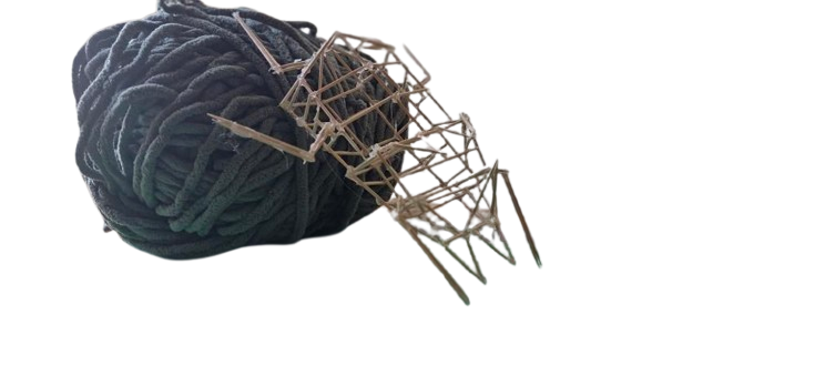 Dynamic pose of a wireframe dung beetle pushing yarn