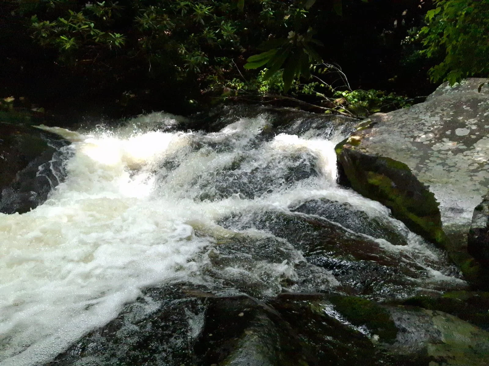 My Sitting Spot for a Rest - Great Smoky Mountains, TN