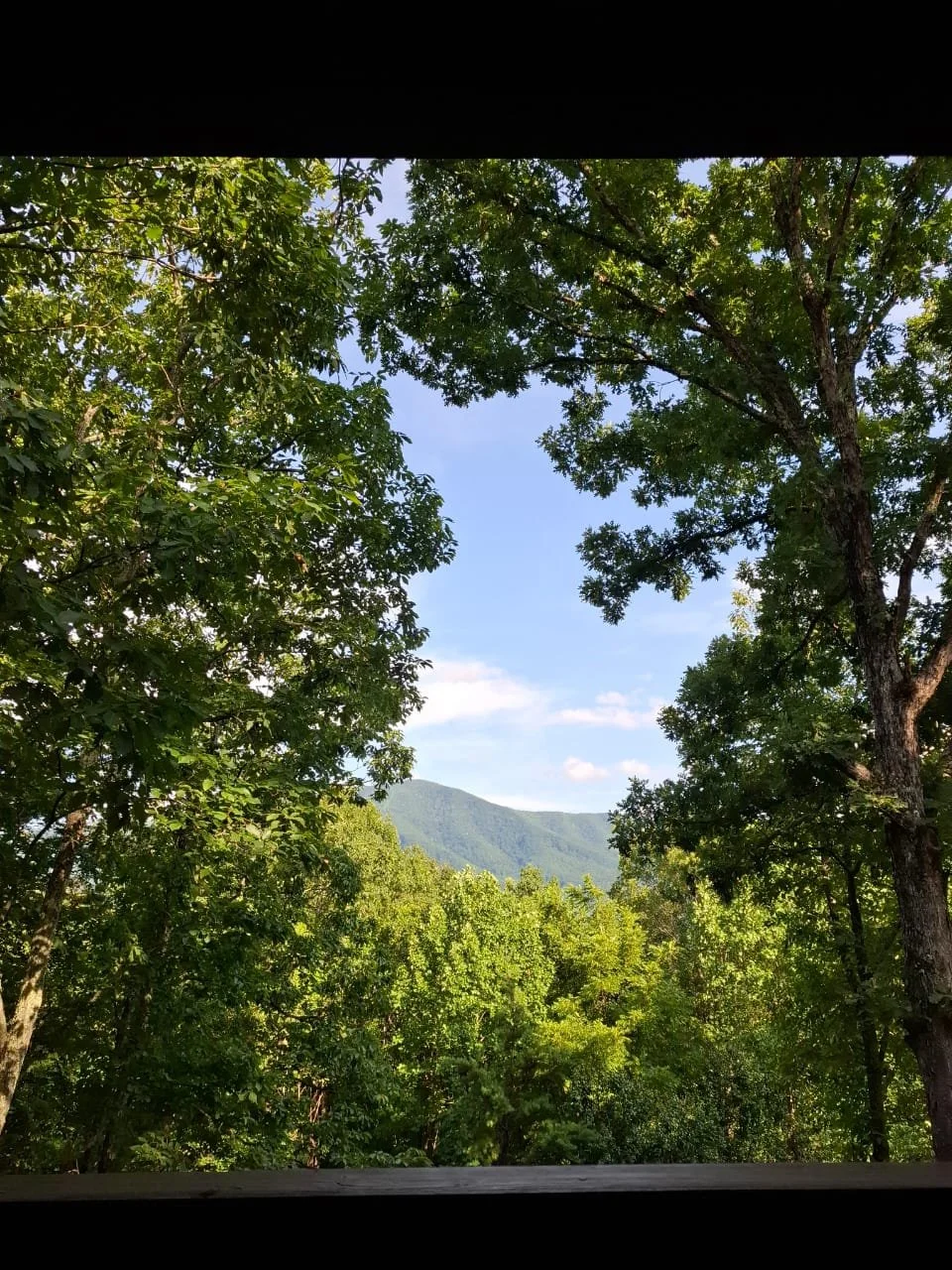 A Deck with a View - Tennessee 
