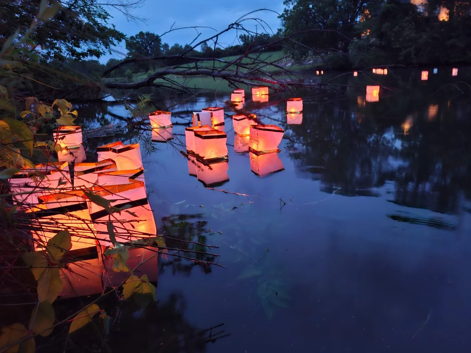 Pond on my aunt's property - Thai lanterns we released at my grandfather's celebration of life in 2024