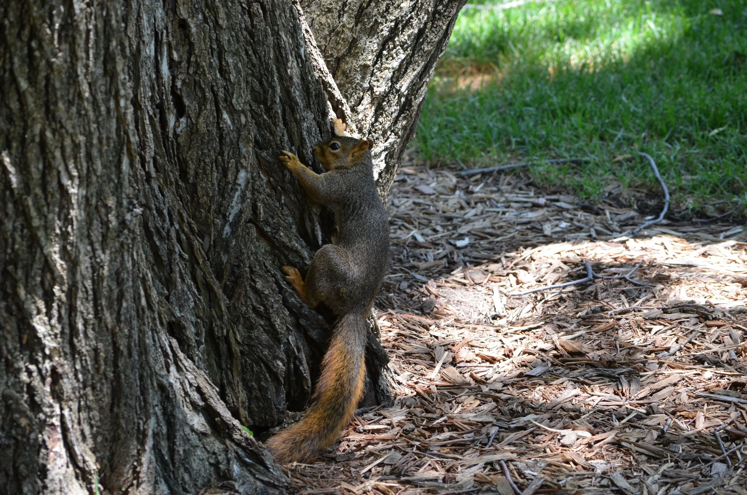 Holding on in Wichita.jpeg