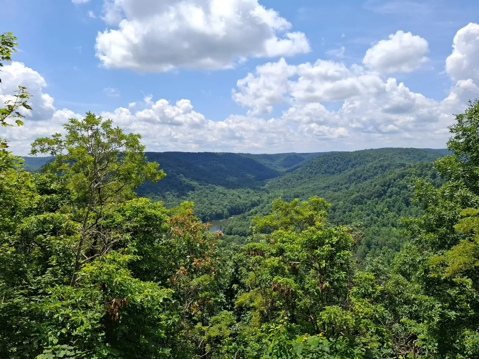 East Pinnacles in Berea, Kentucky 