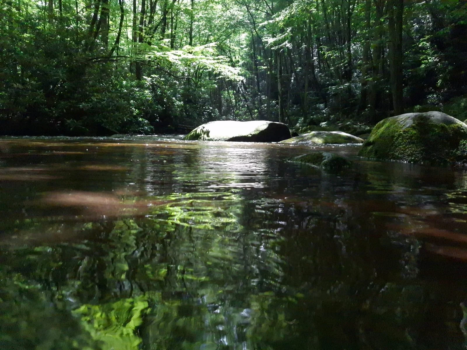 Calm Waters - Smoky Mountains, TN