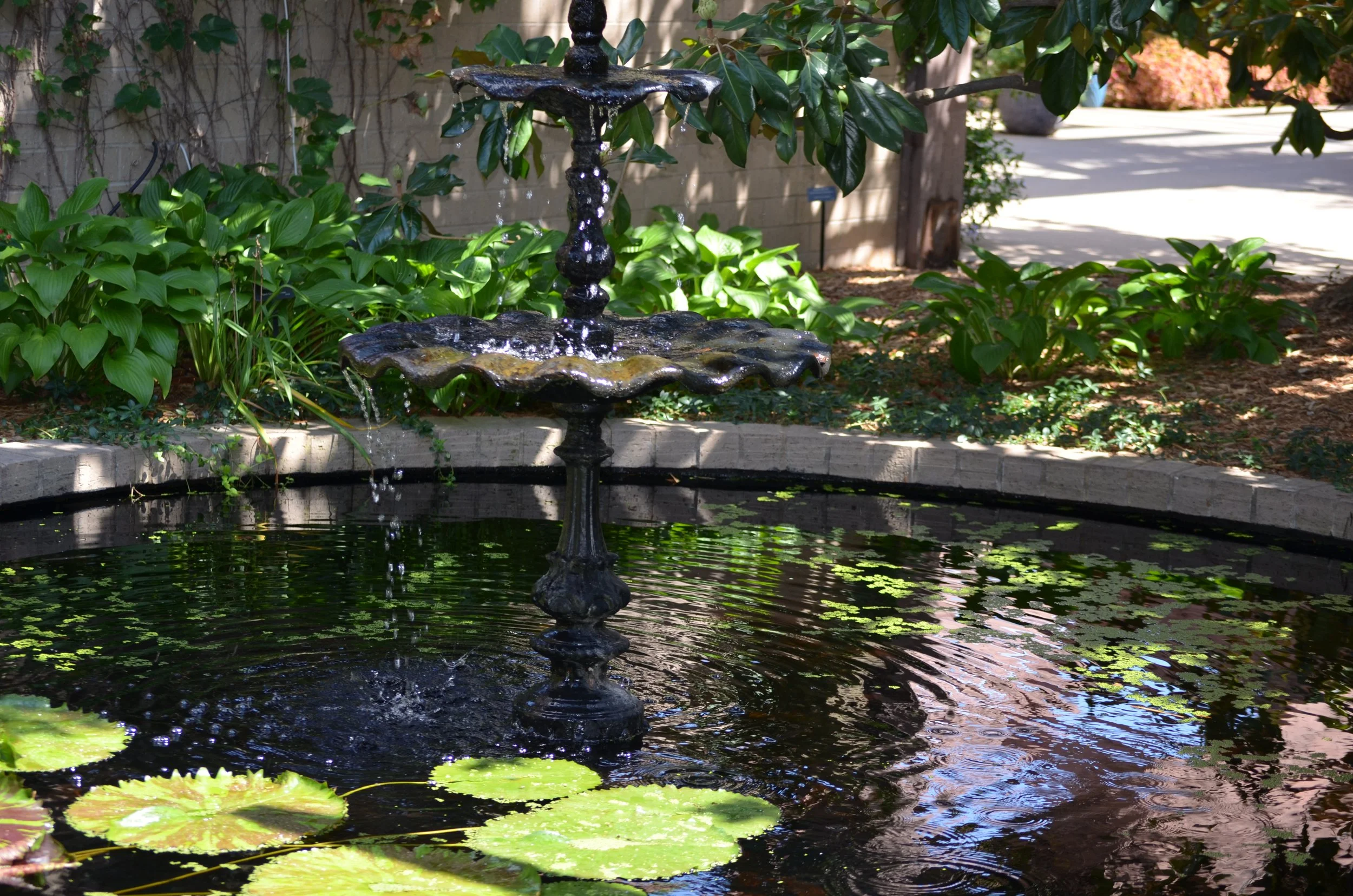 Fountain steady water