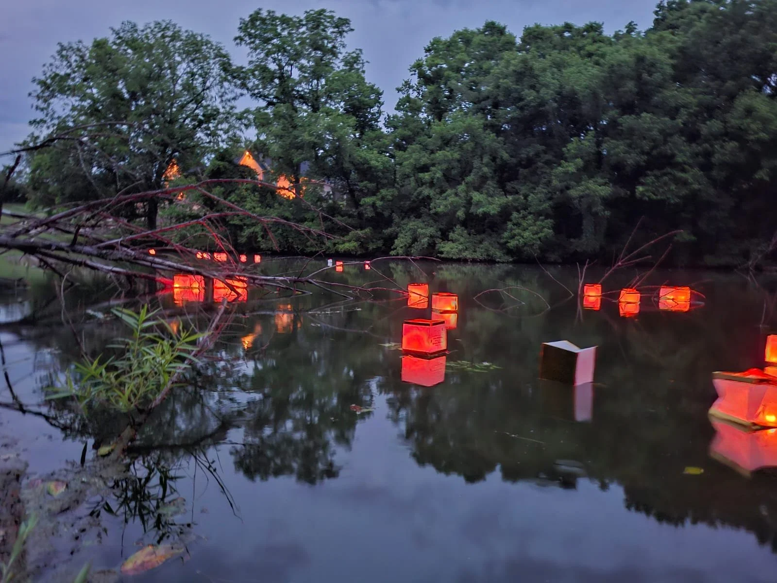The contrast of the lights at dusk and the lights from the candles was so beautiful