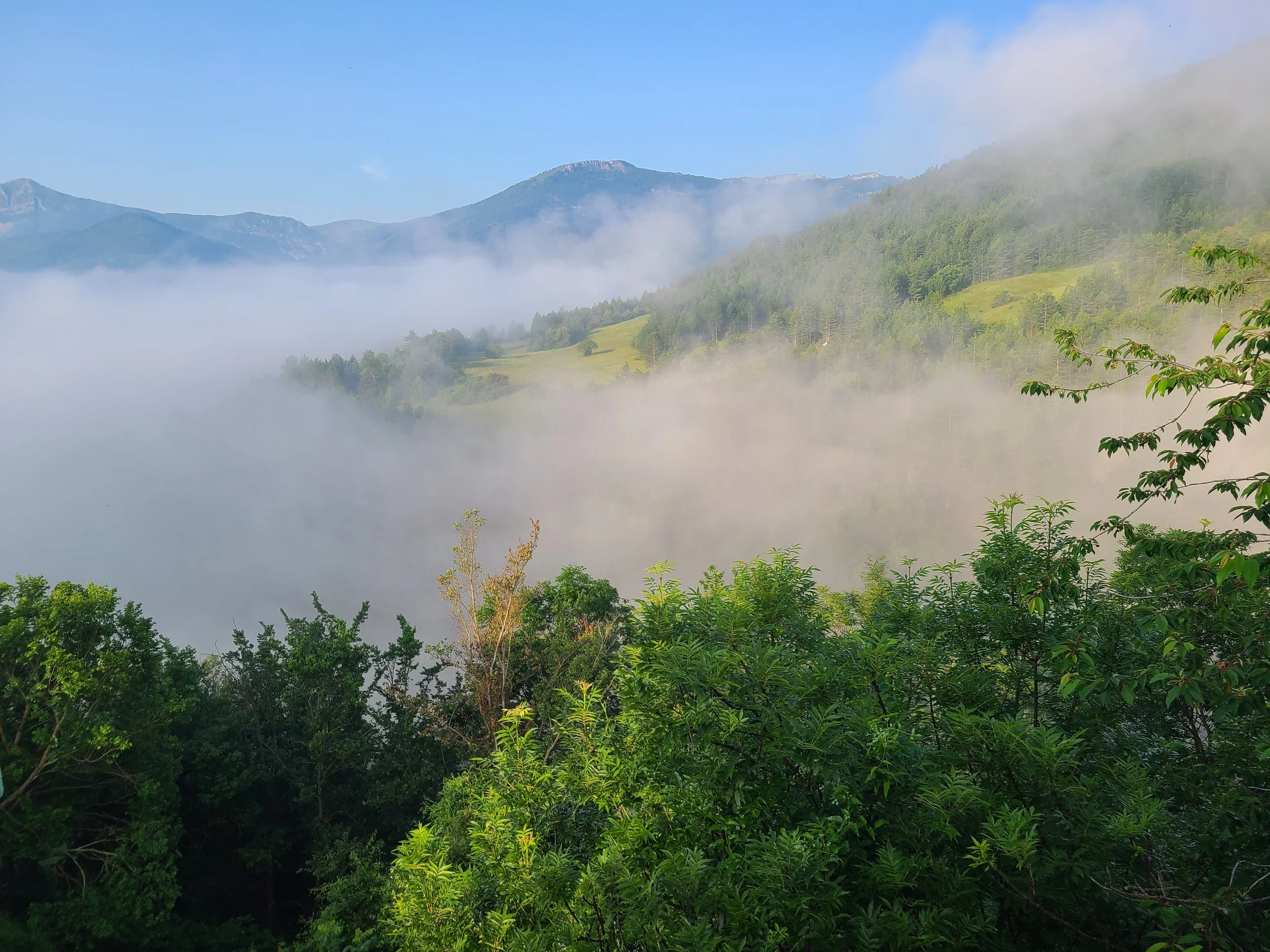 Morning fog above Barrême