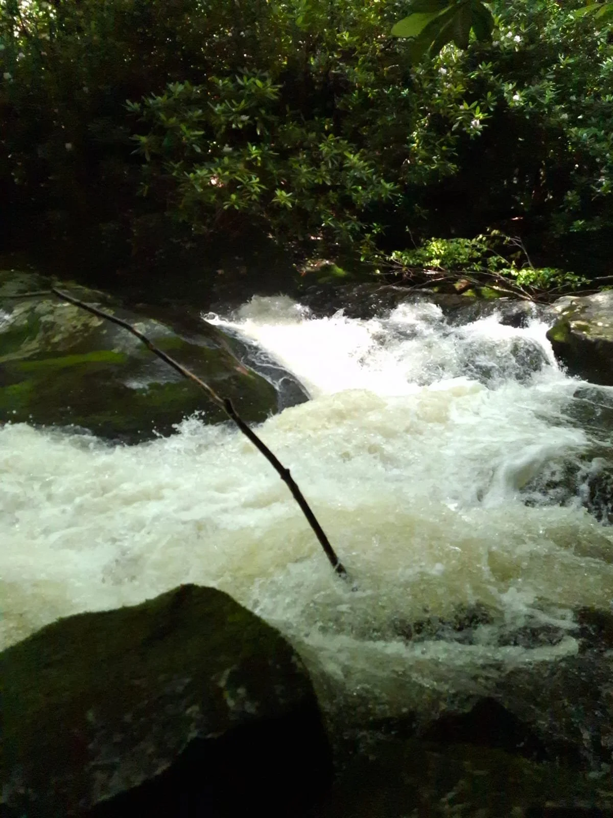 Close Your Eyes and Your Can Hear the Rapids - Smoky Mountains, TN