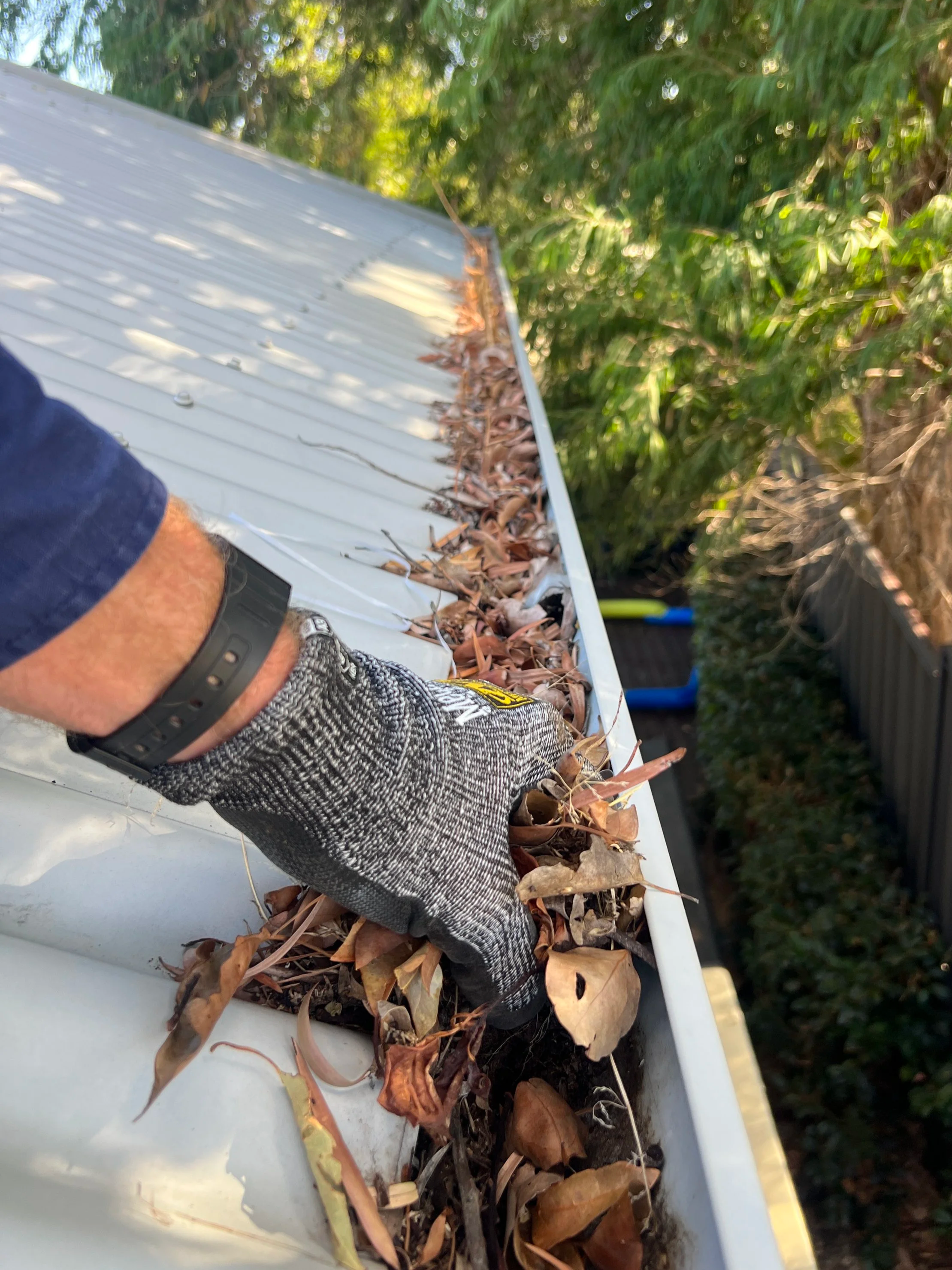 Gutter Cleaning Perth Mosman Park Blocked downpipes
